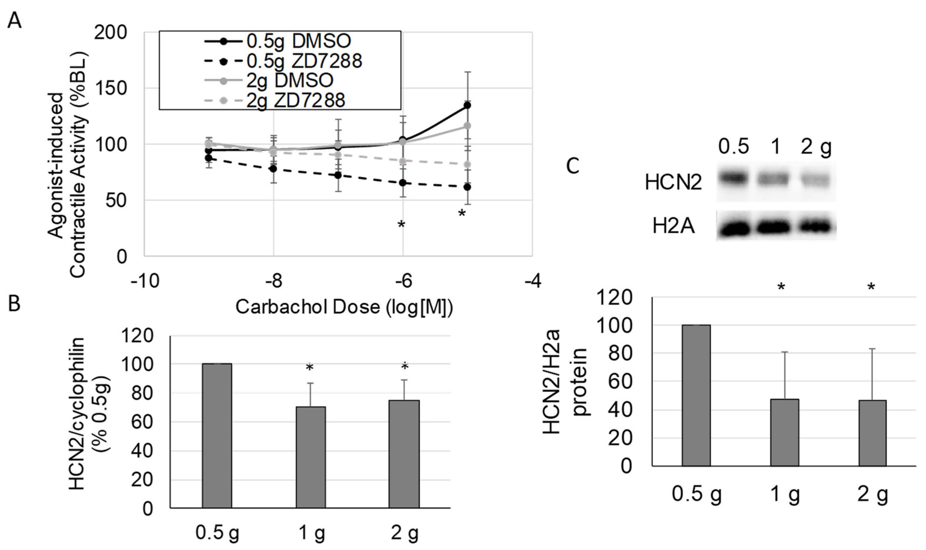 Molecules 28 04359 g004