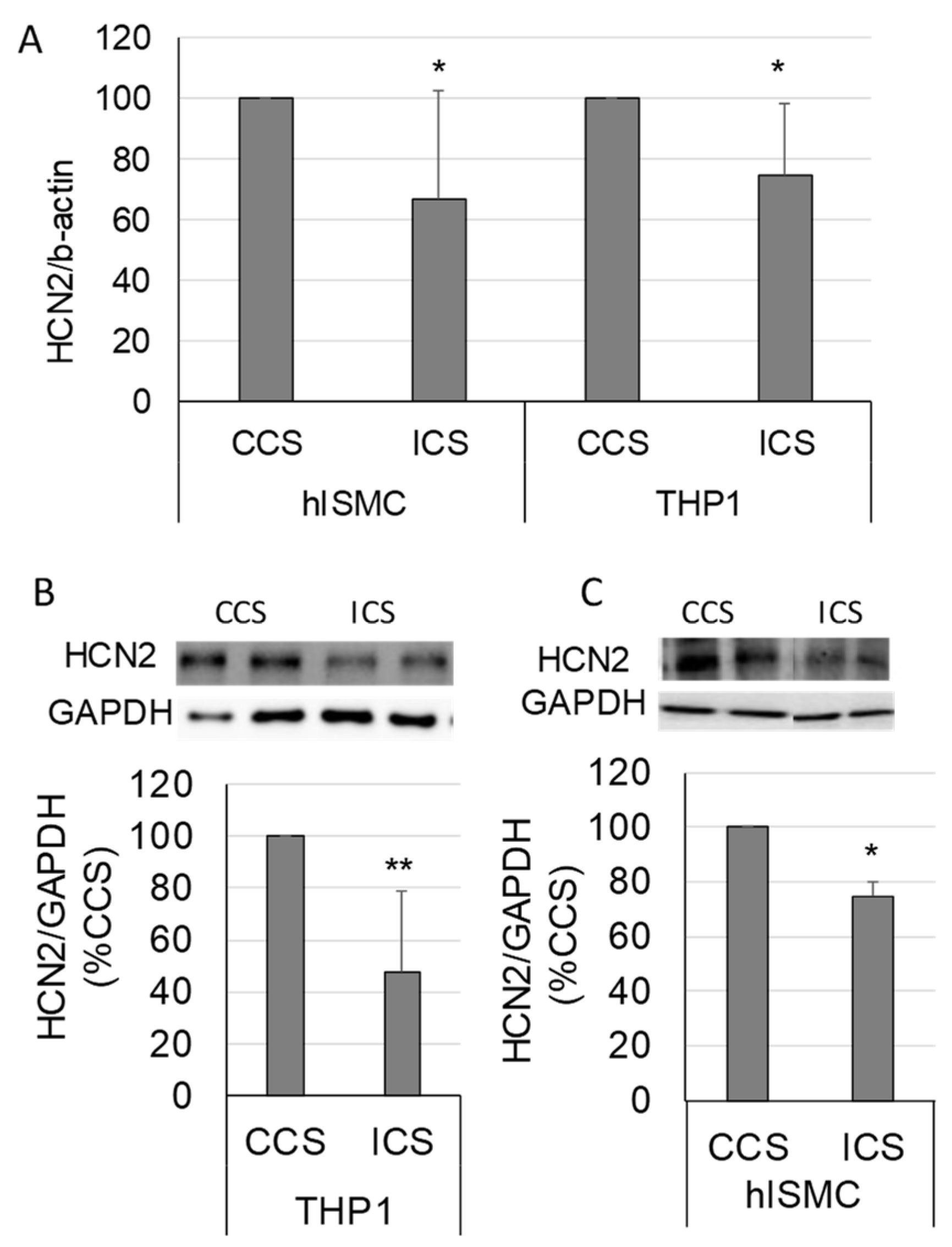 Molecules 28 04359 g005