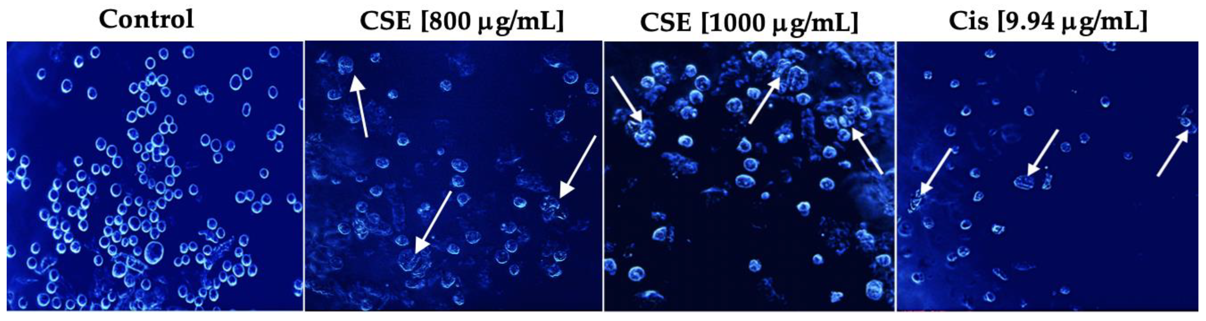 Molecules 28 04361 g007