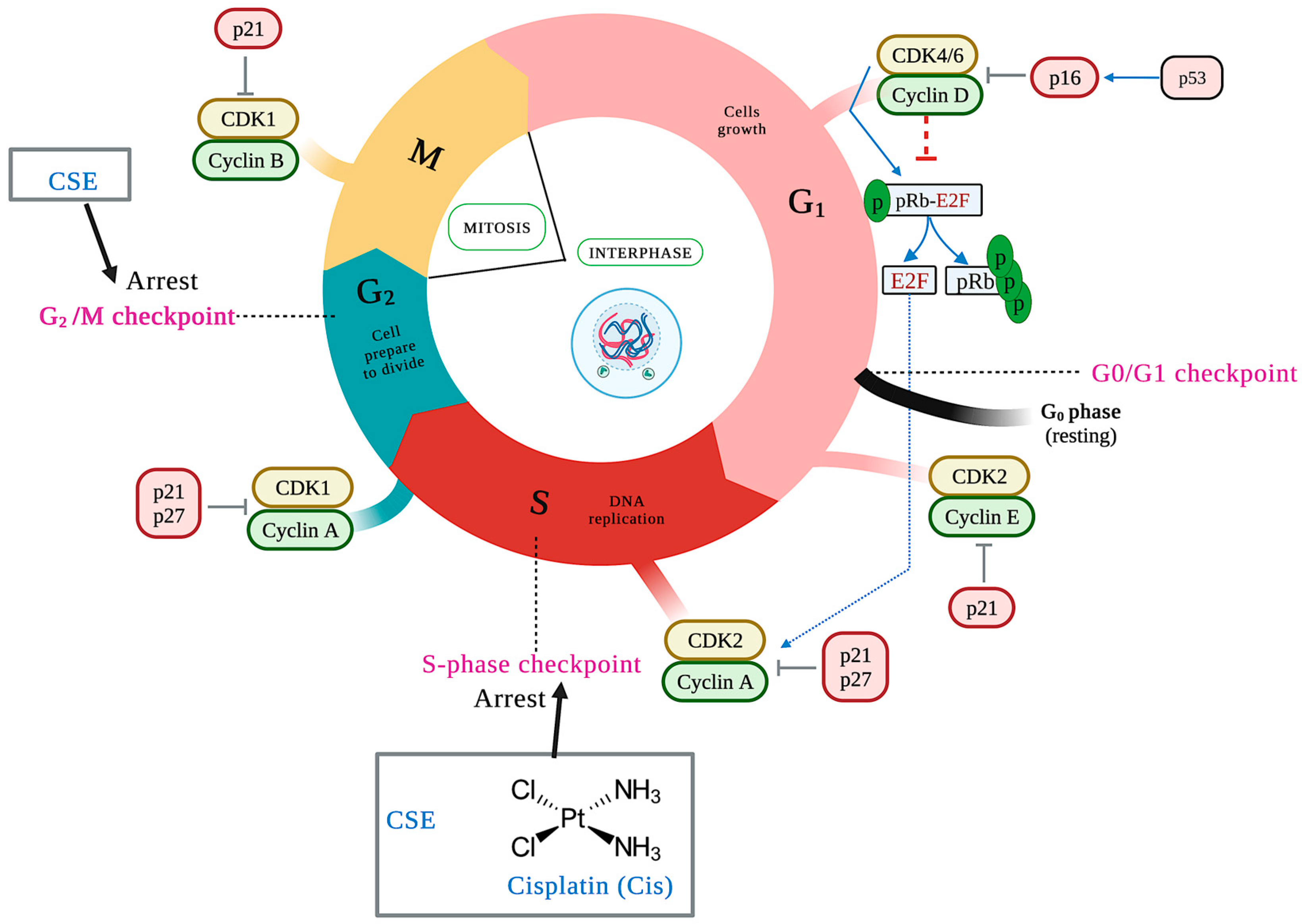 Molecules 28 04361 g008
