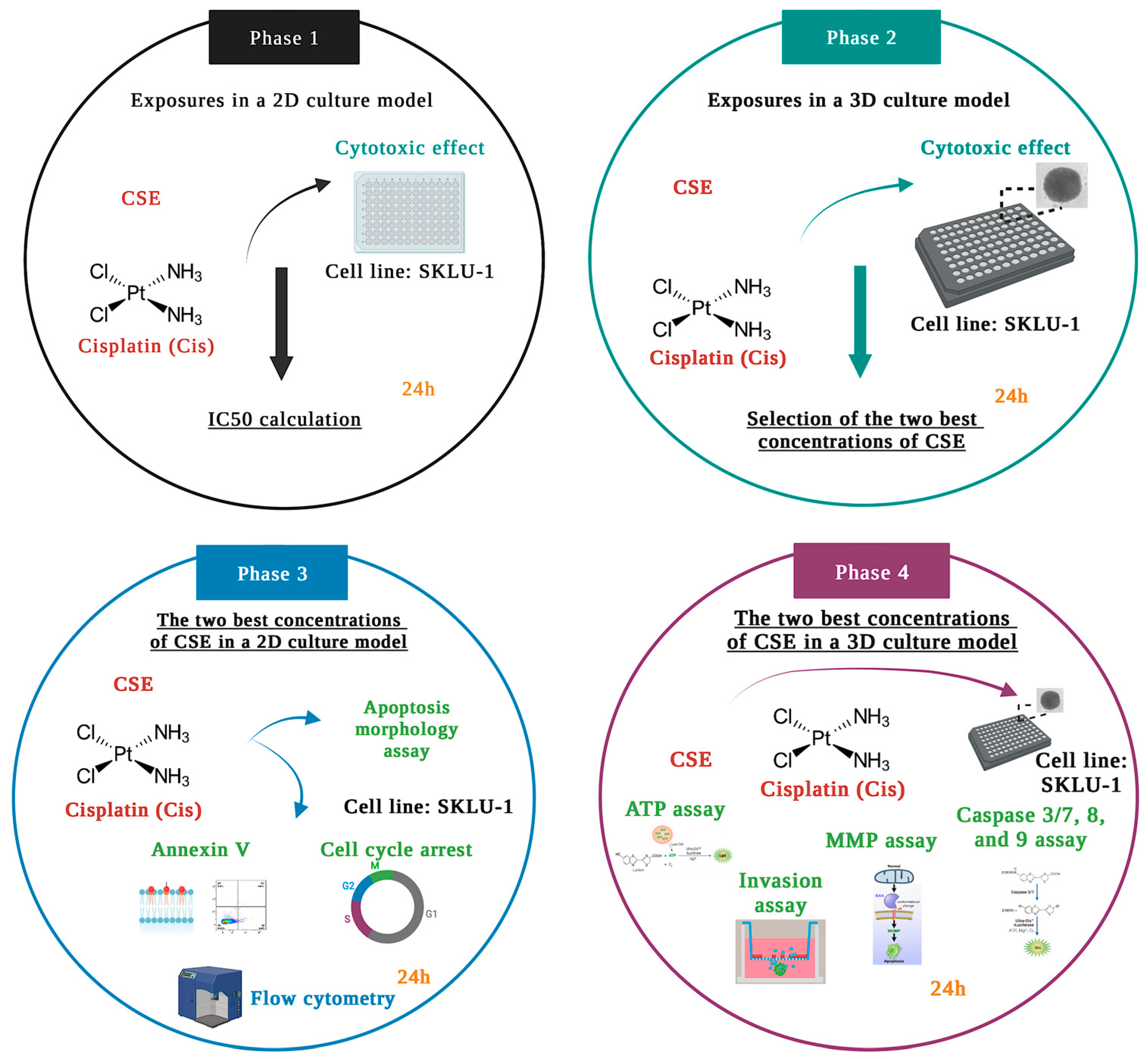 Molecules 28 04361 g013