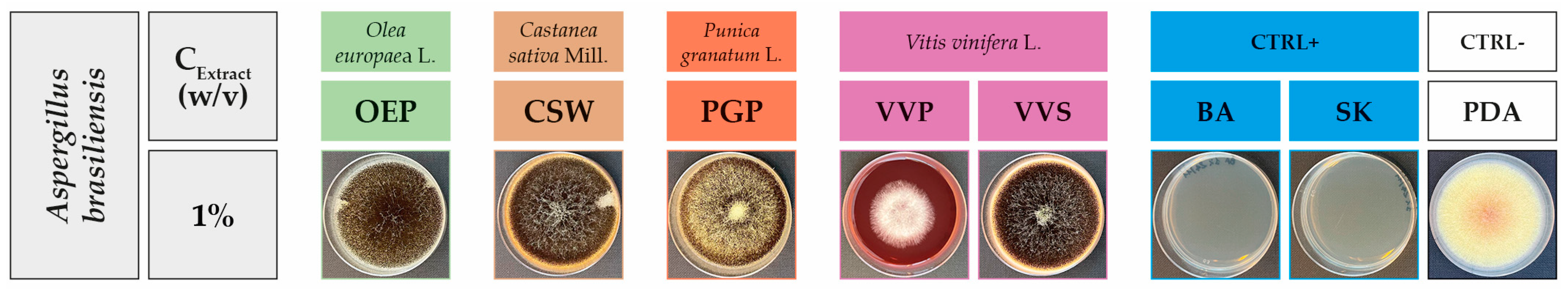 Molecules 28 04374 g001