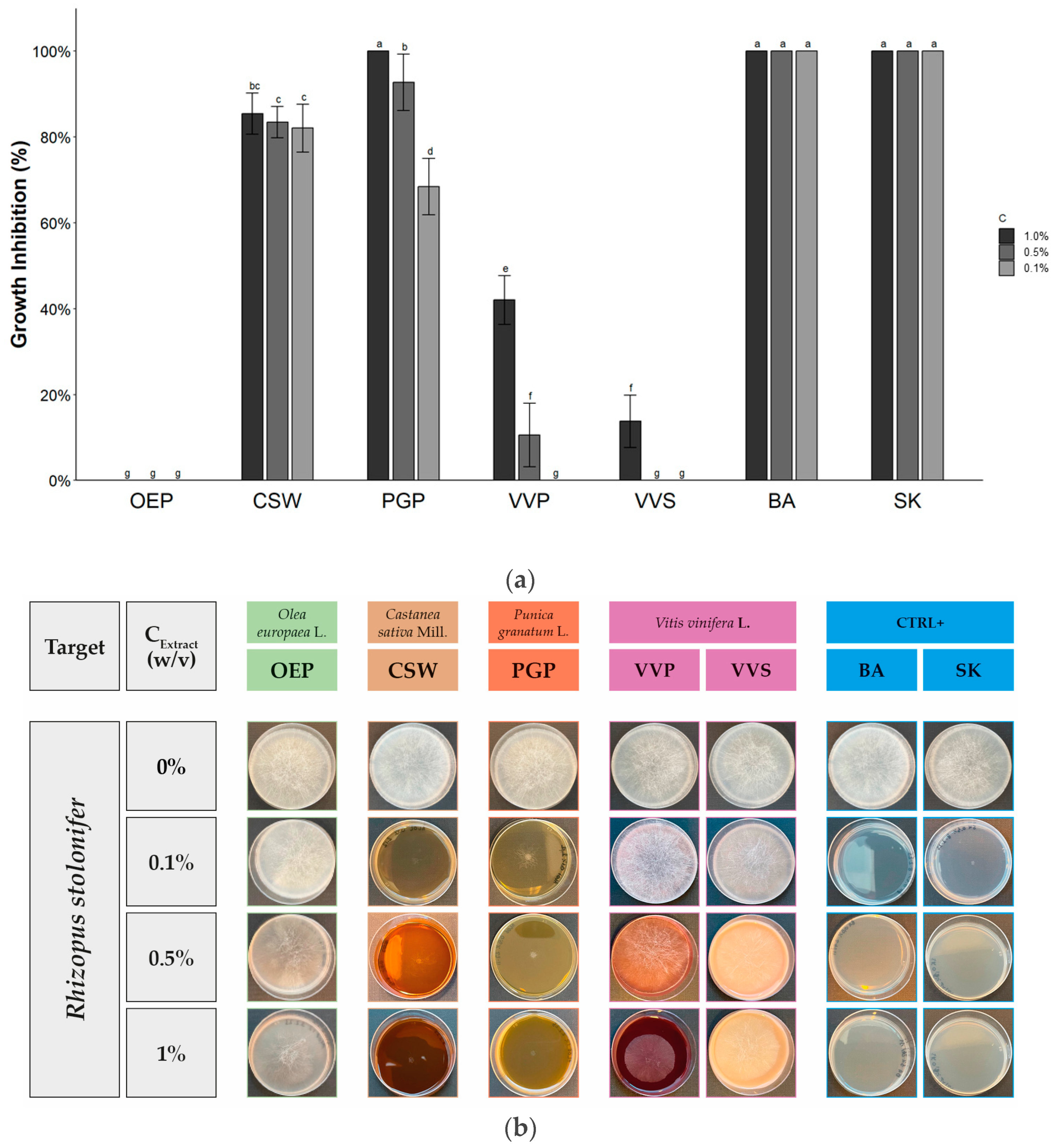 Molecules 28 04374 g003
