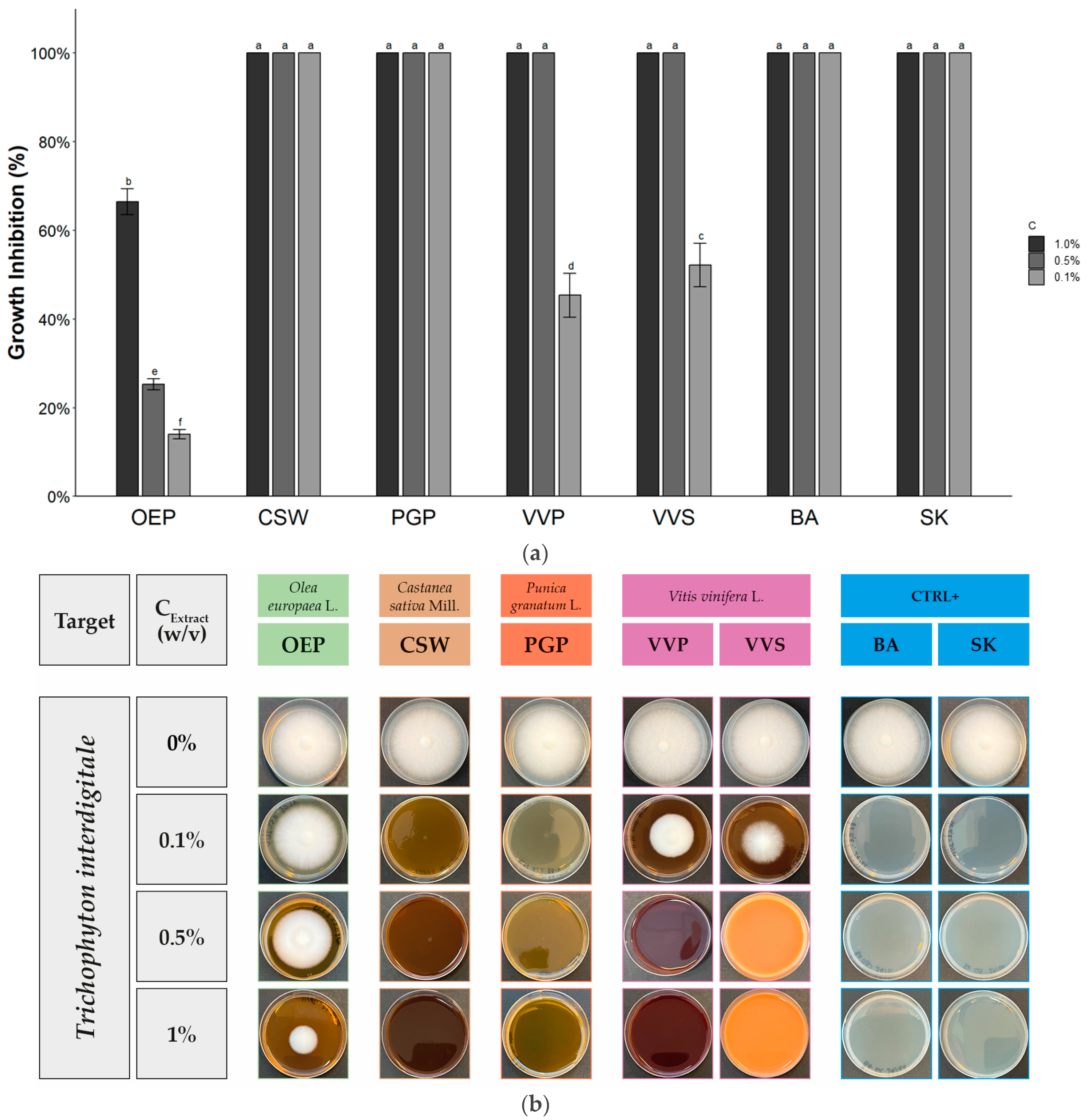 Molecules 28 04374 g004
