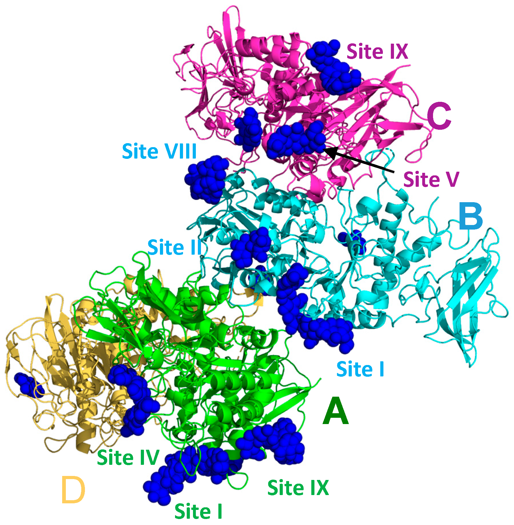 Molecules 28 04377 g001 Molecules 28 04377 g001