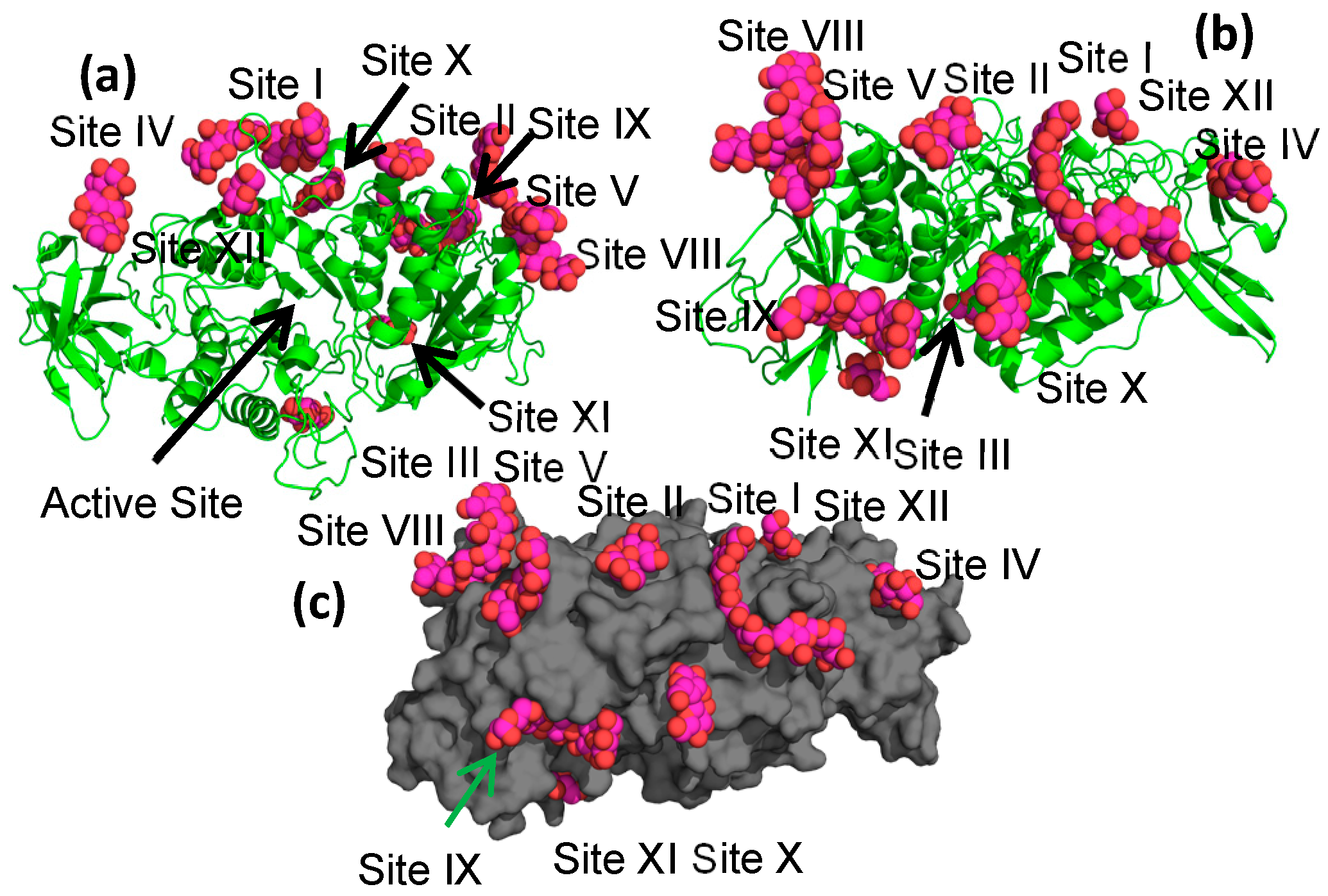 Molecules 28 04377 g002 Molecules 28 04377 g002