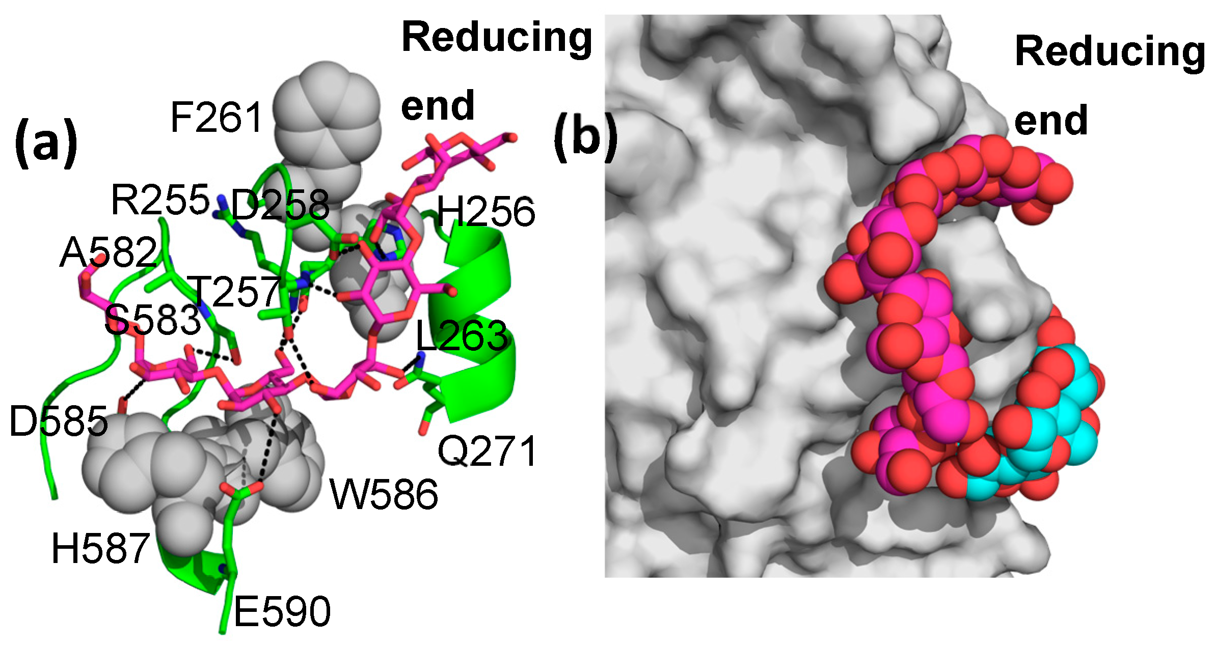 Molecules 28 04377 g003 Molecules 28 04377 g003