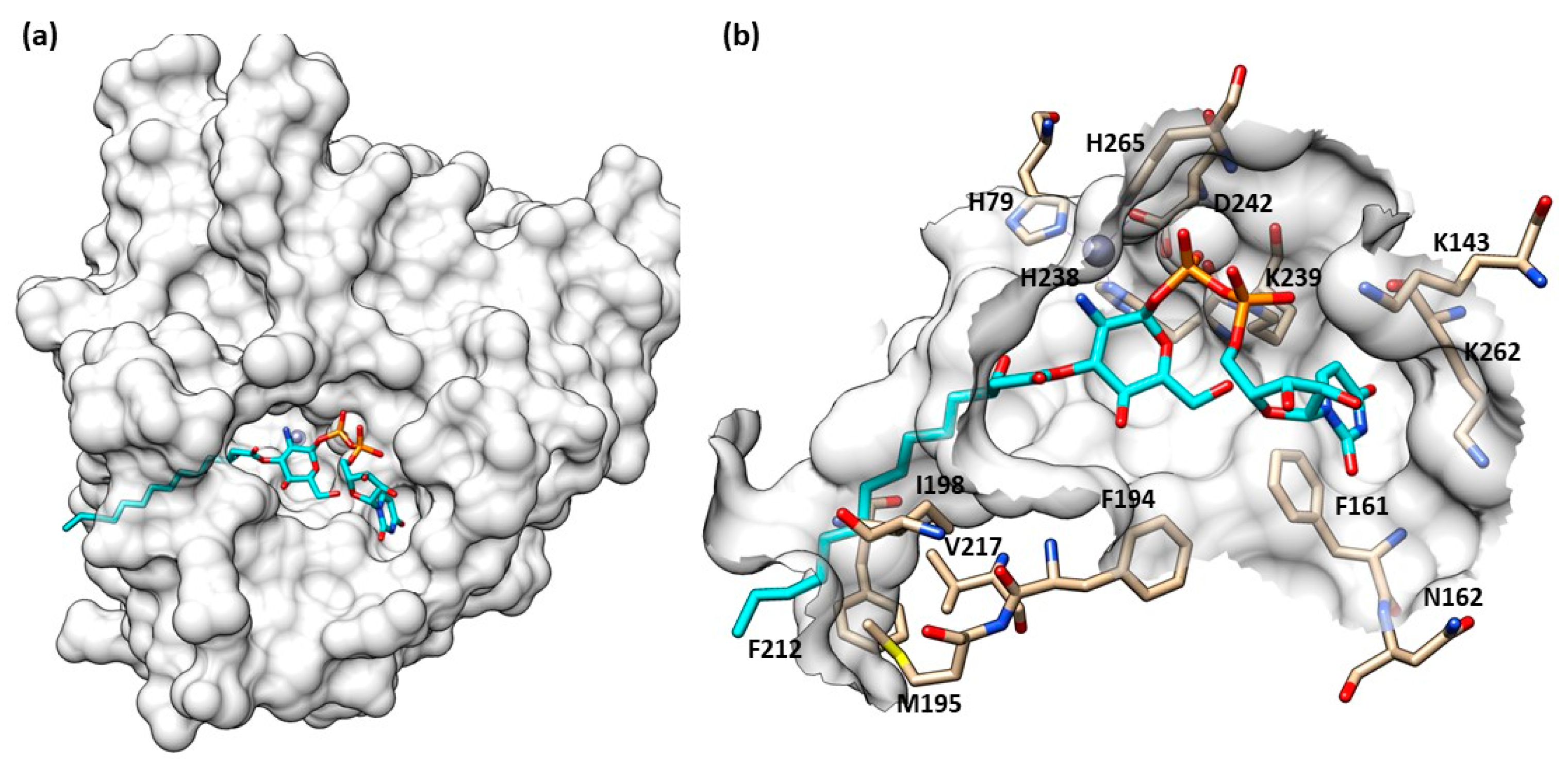 Molecules 28 04378 g003