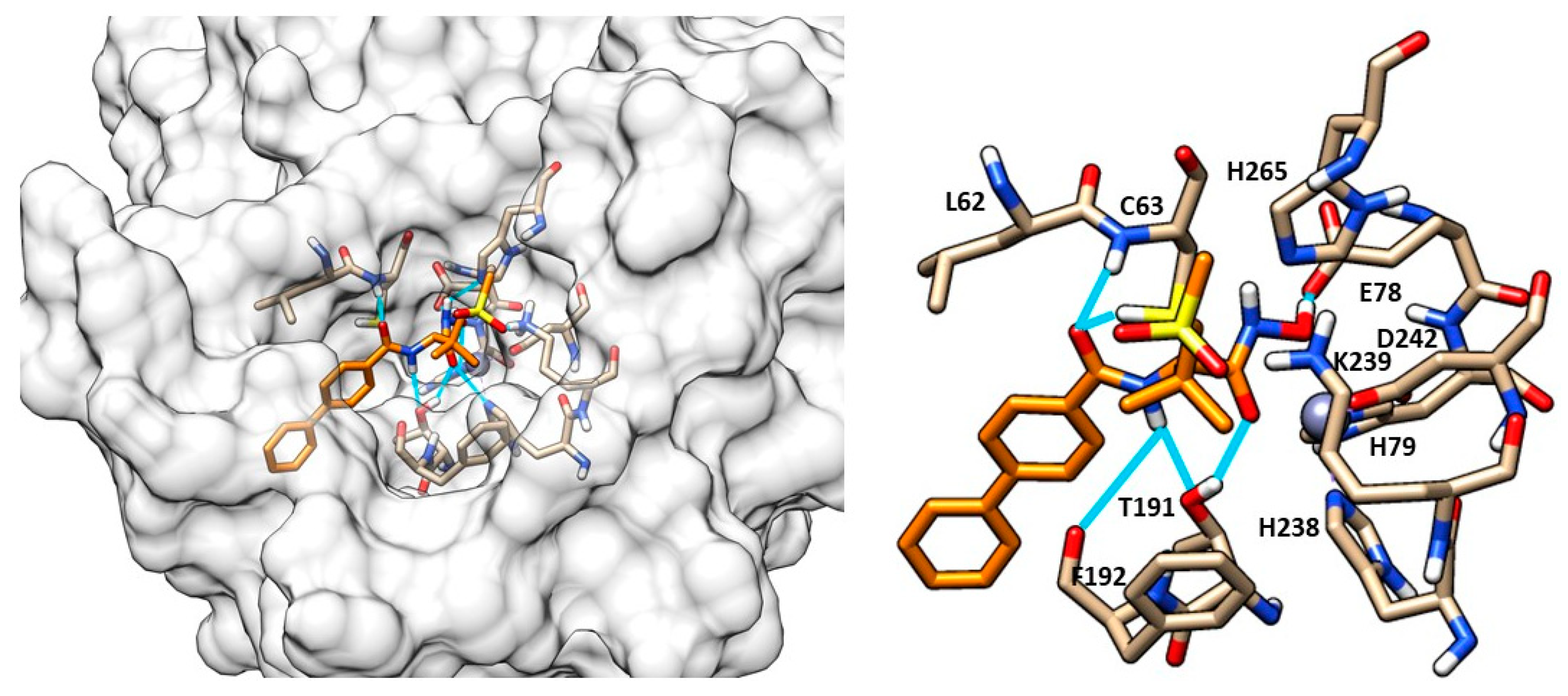 Molecules 28 04378 g010