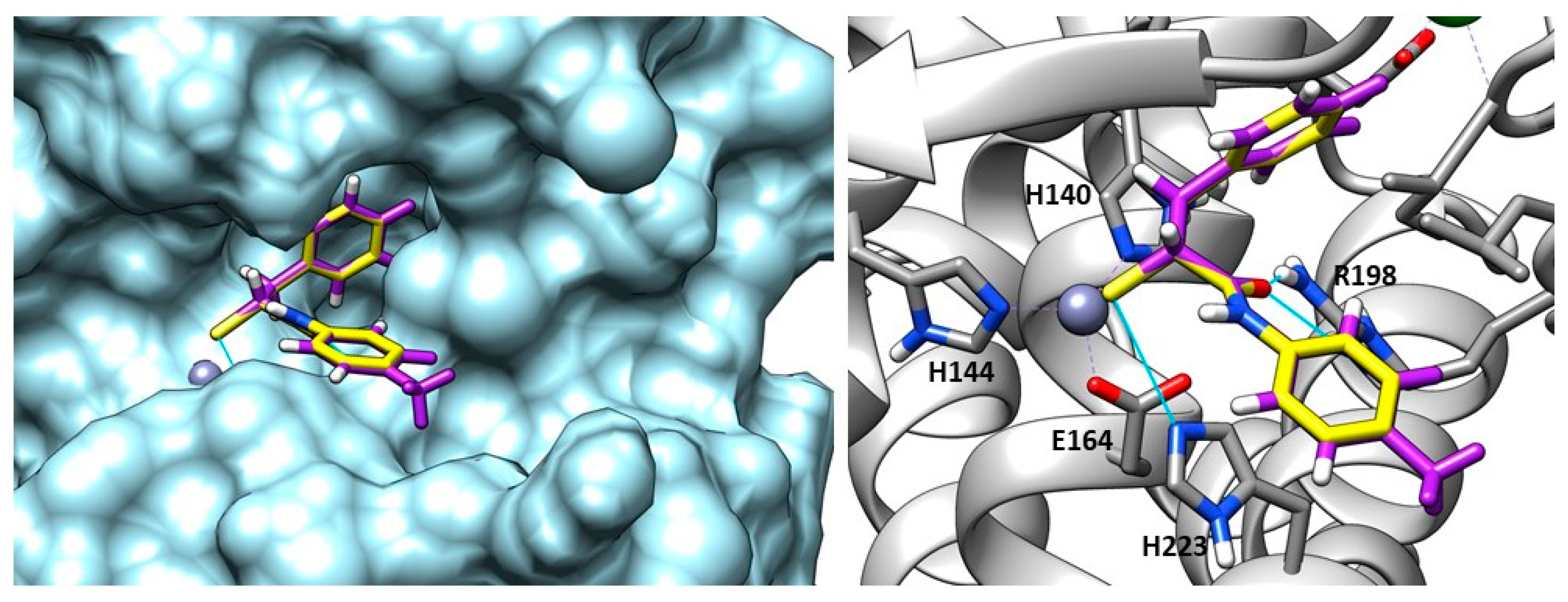 Molecules 28 04378 g023