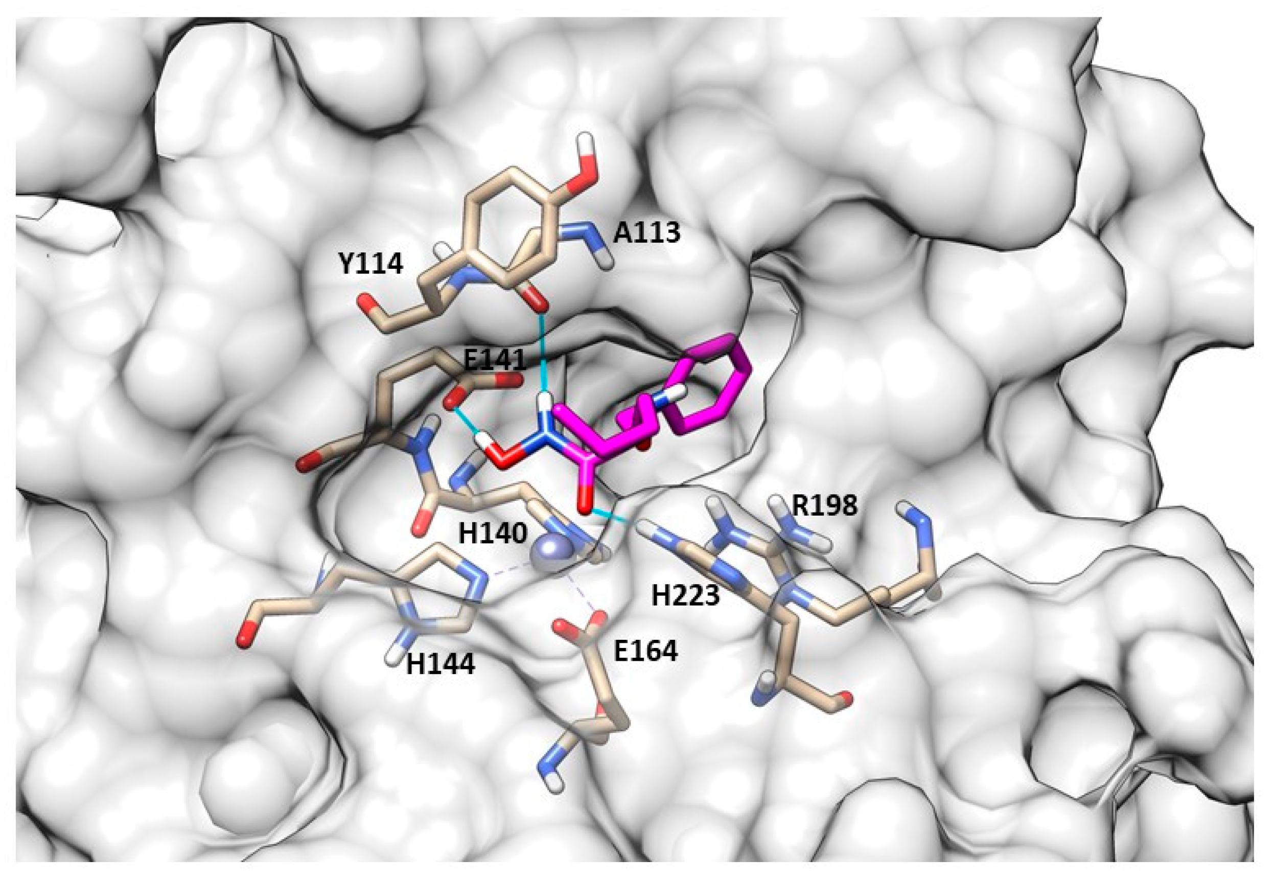 Molecules 28 04378 g025