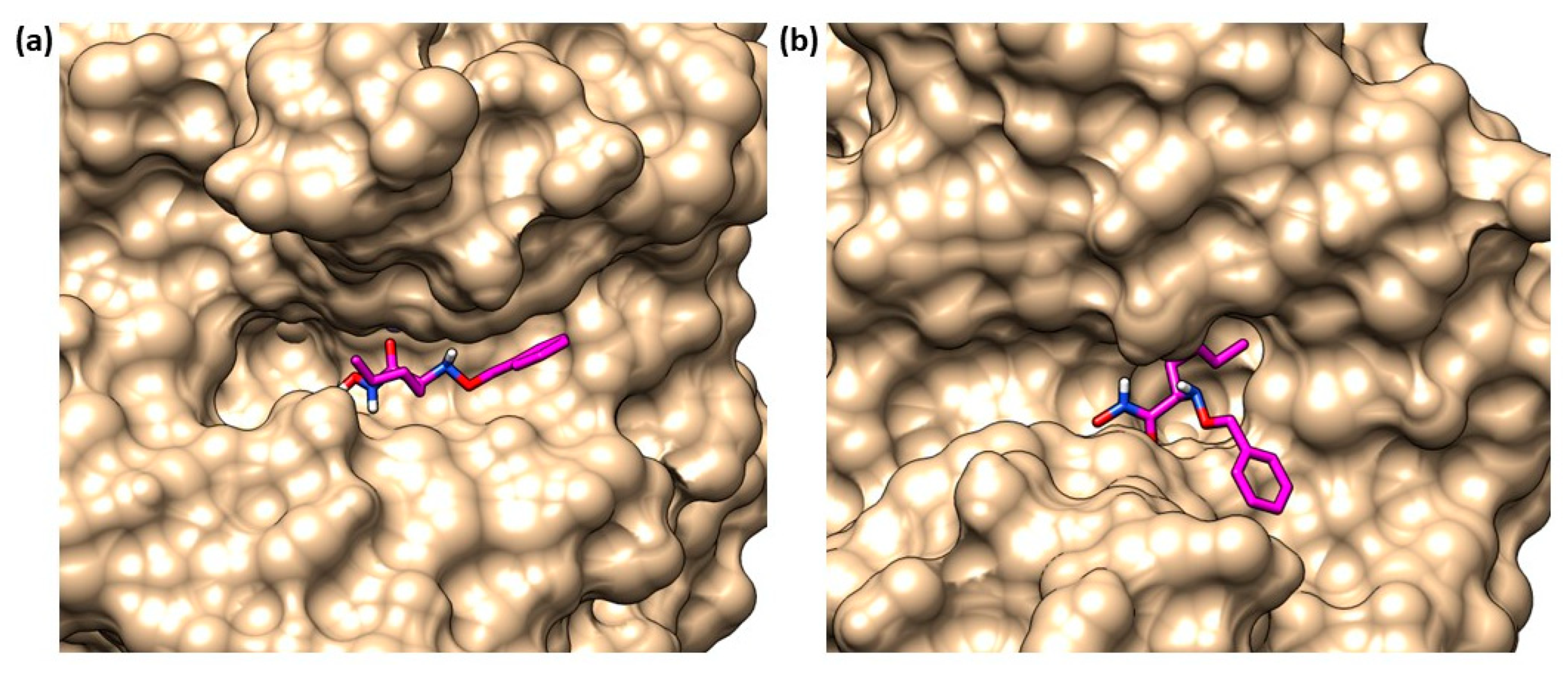 Molecules 28 04378 g026