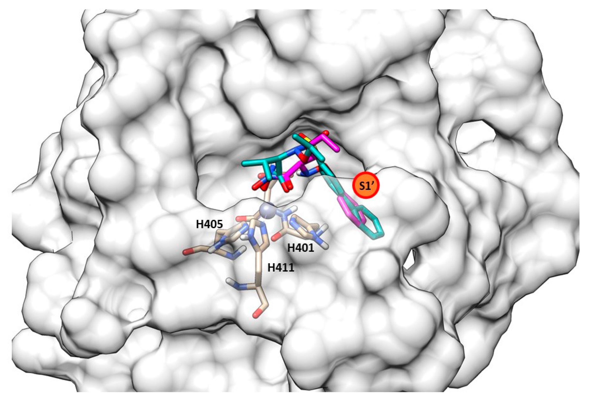 Molecules 28 04378 g027