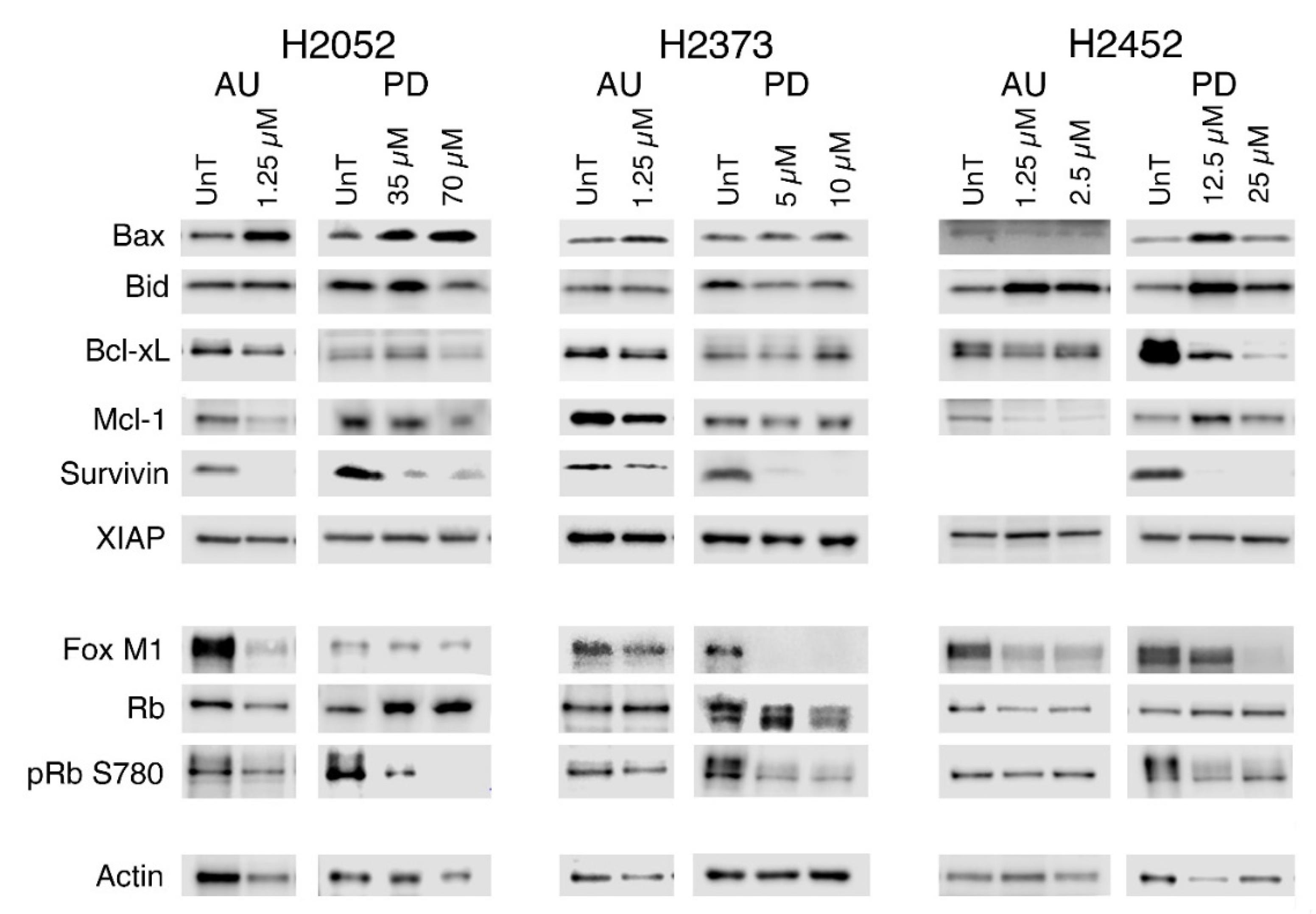 Molecules 28 04380 g008