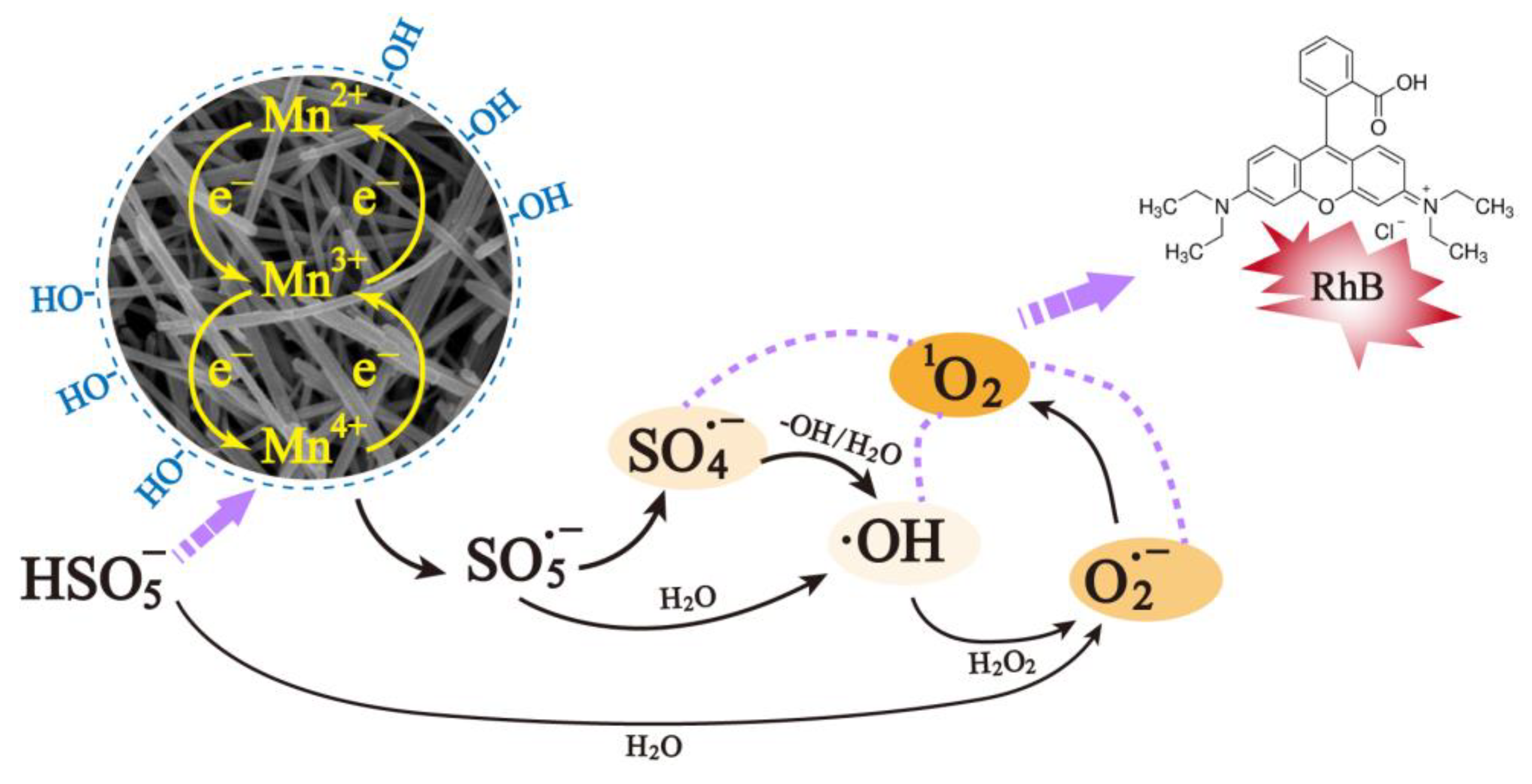 Molecules 28 04388 g011 Molecules 28 04388 g011