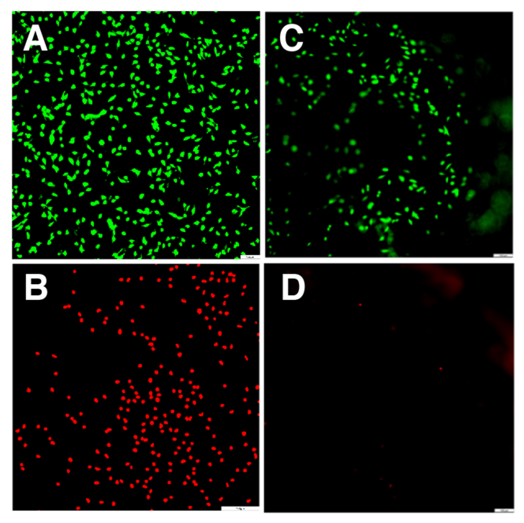 Molecules 28 04390 g003 Molecules 28 04390 g003