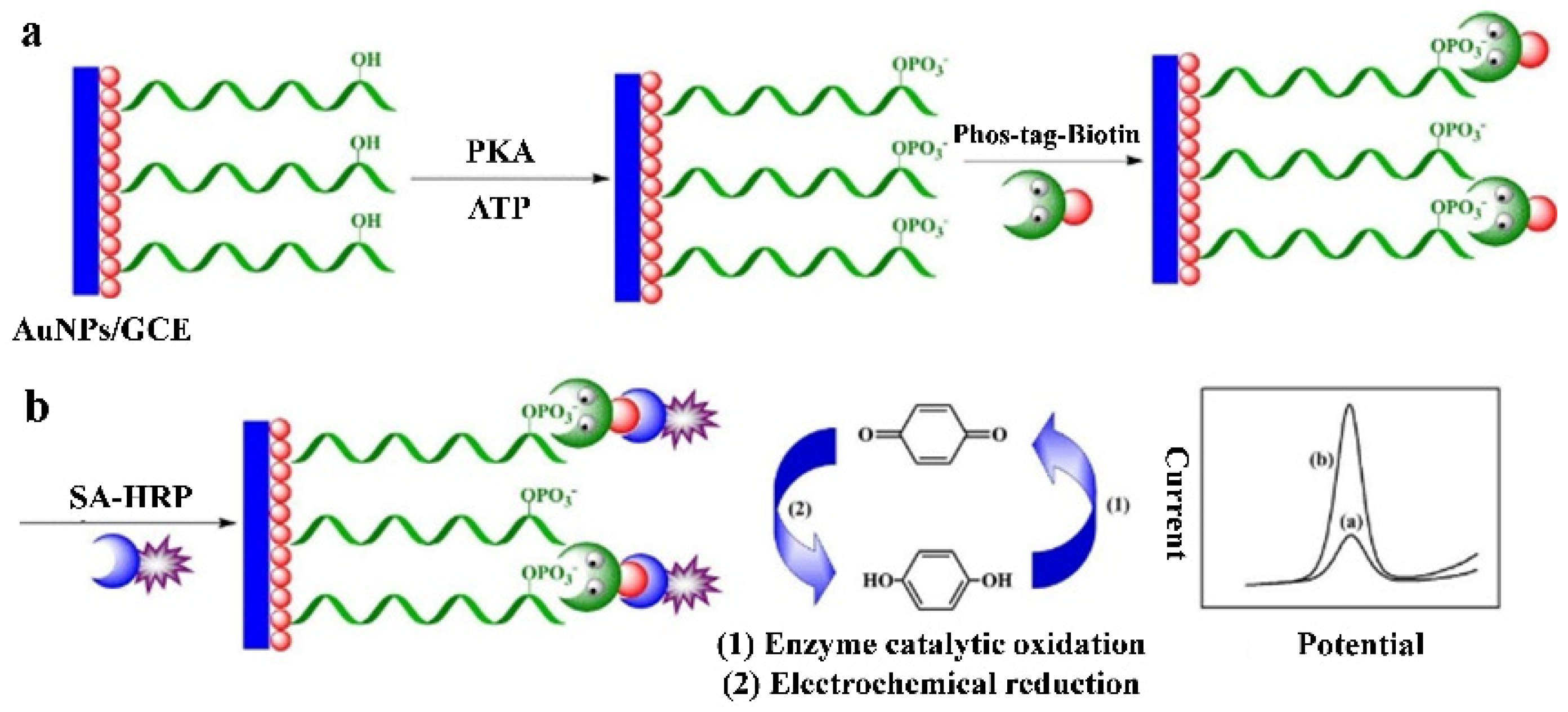Molecules 28 04394 g004