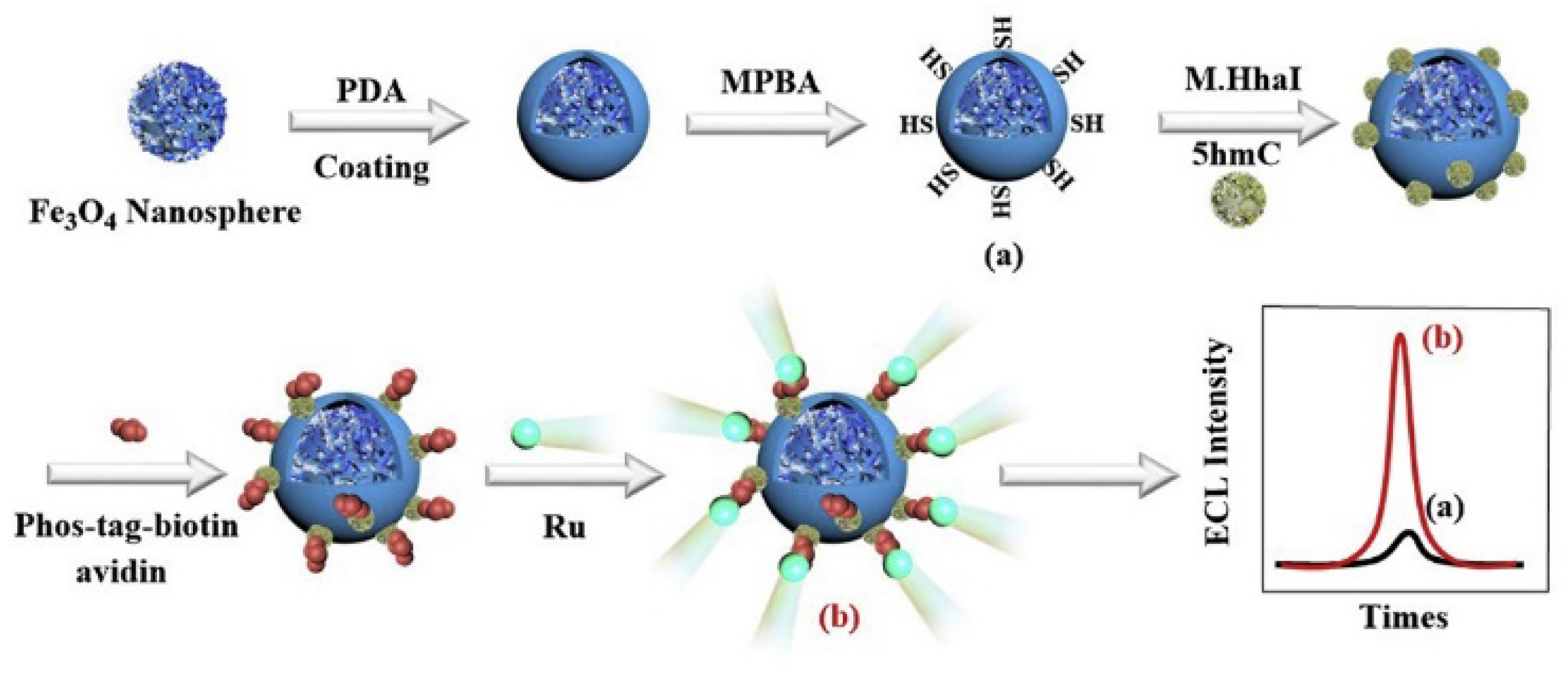 Molecules 28 04394 g006