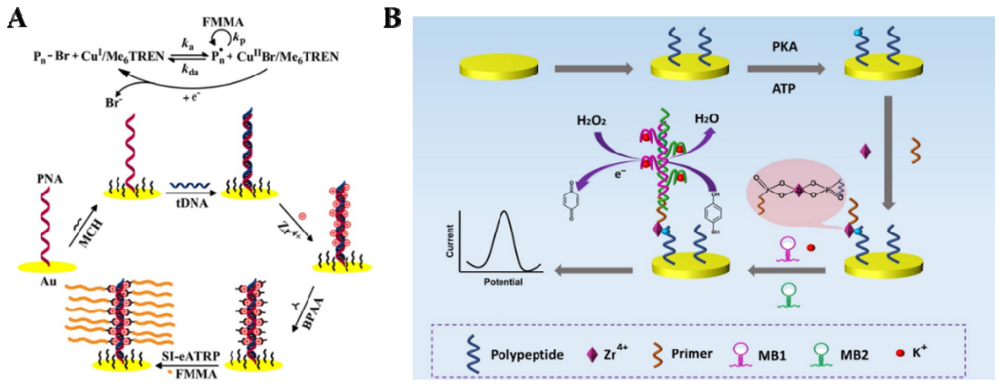 Molecules 28 04394 g007