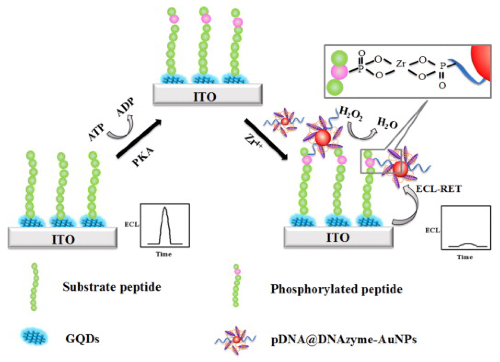 Molecules 28 04394 g009
