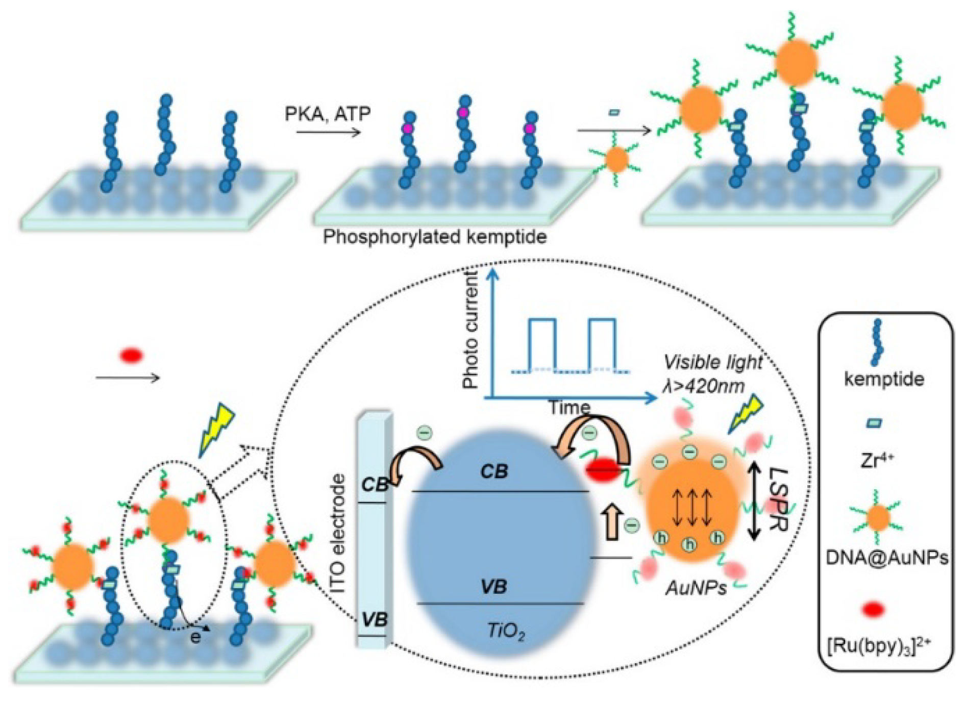 Molecules 28 04394 g010