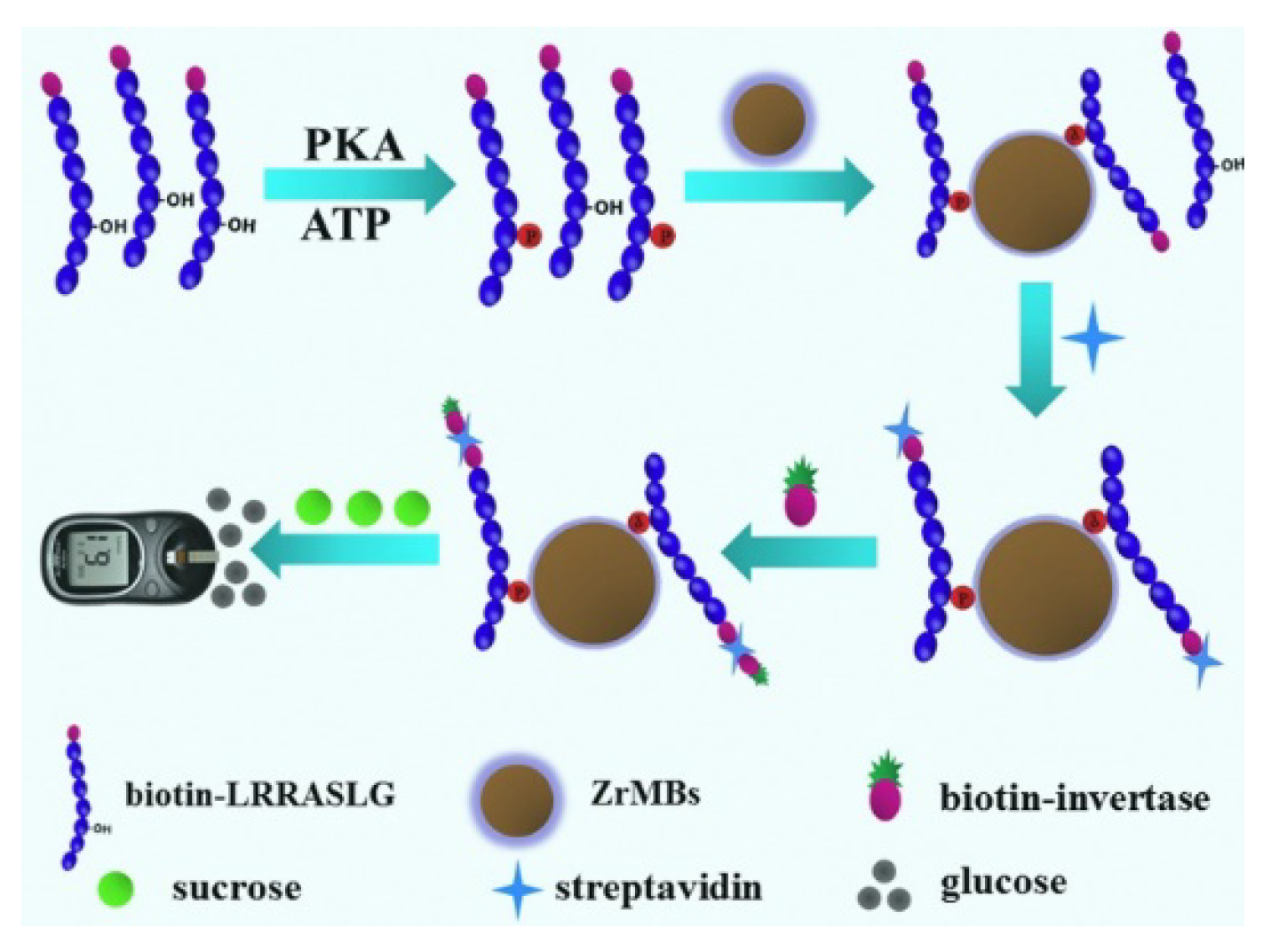 Molecules 28 04394 g015