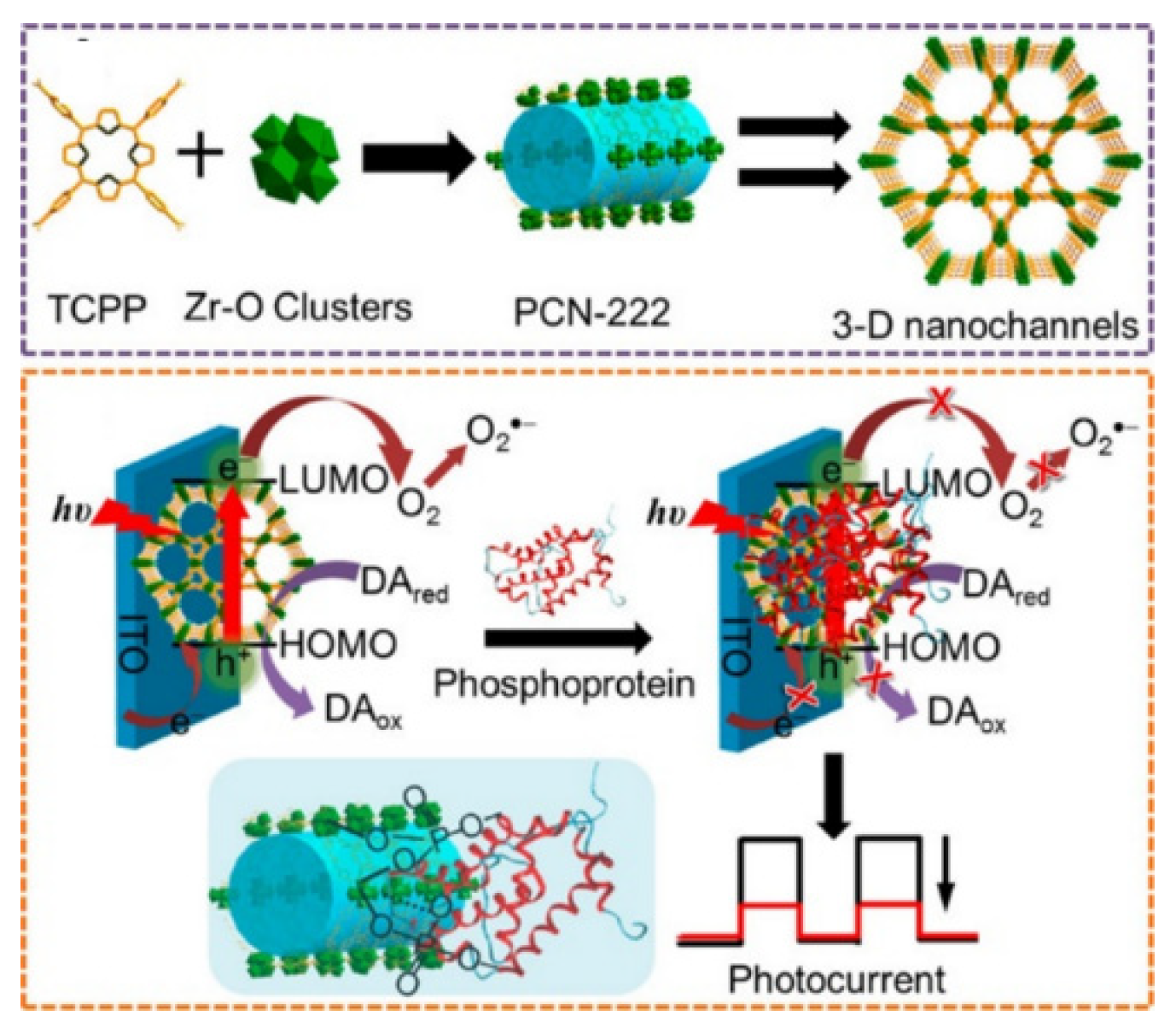 Molecules 28 04394 g016