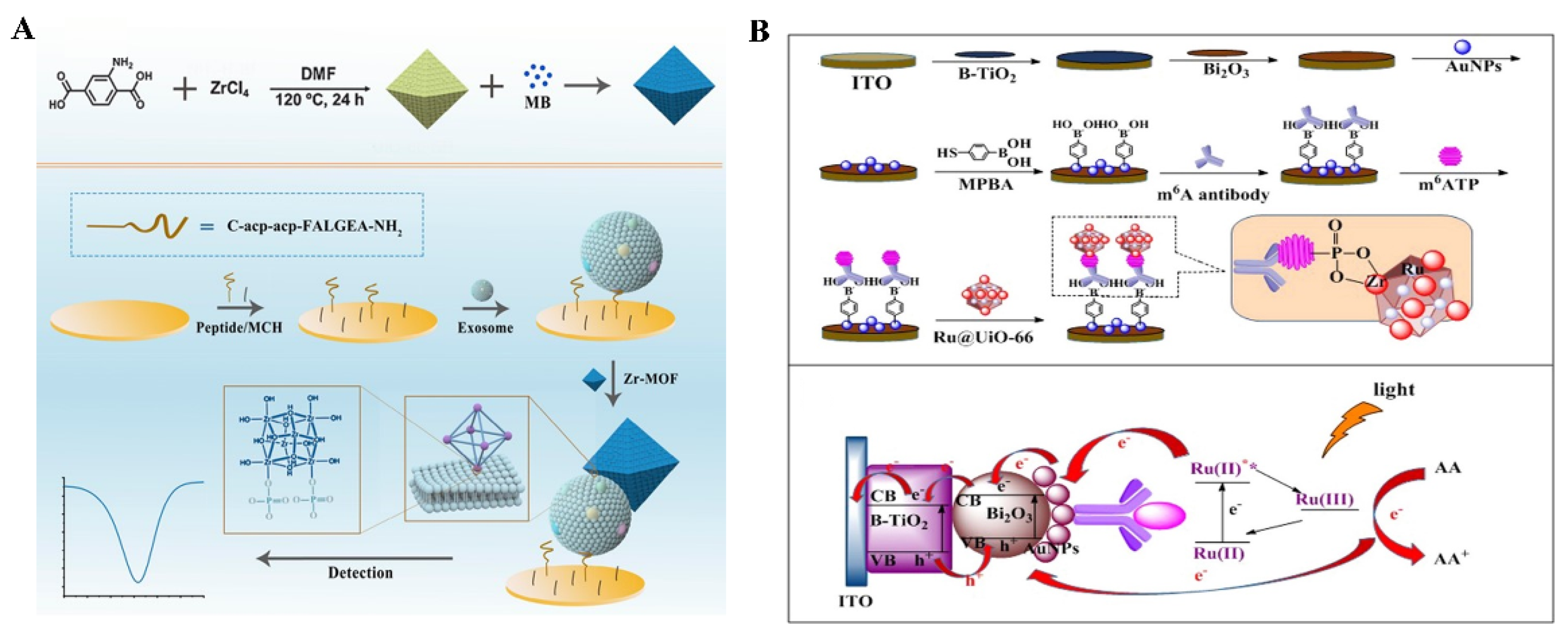 Molecules 28 04394 g017