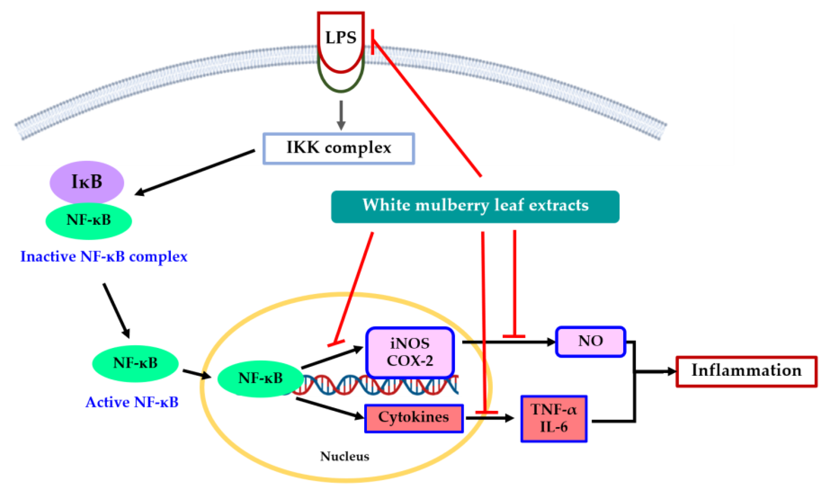 Molecules 28 04395 g009