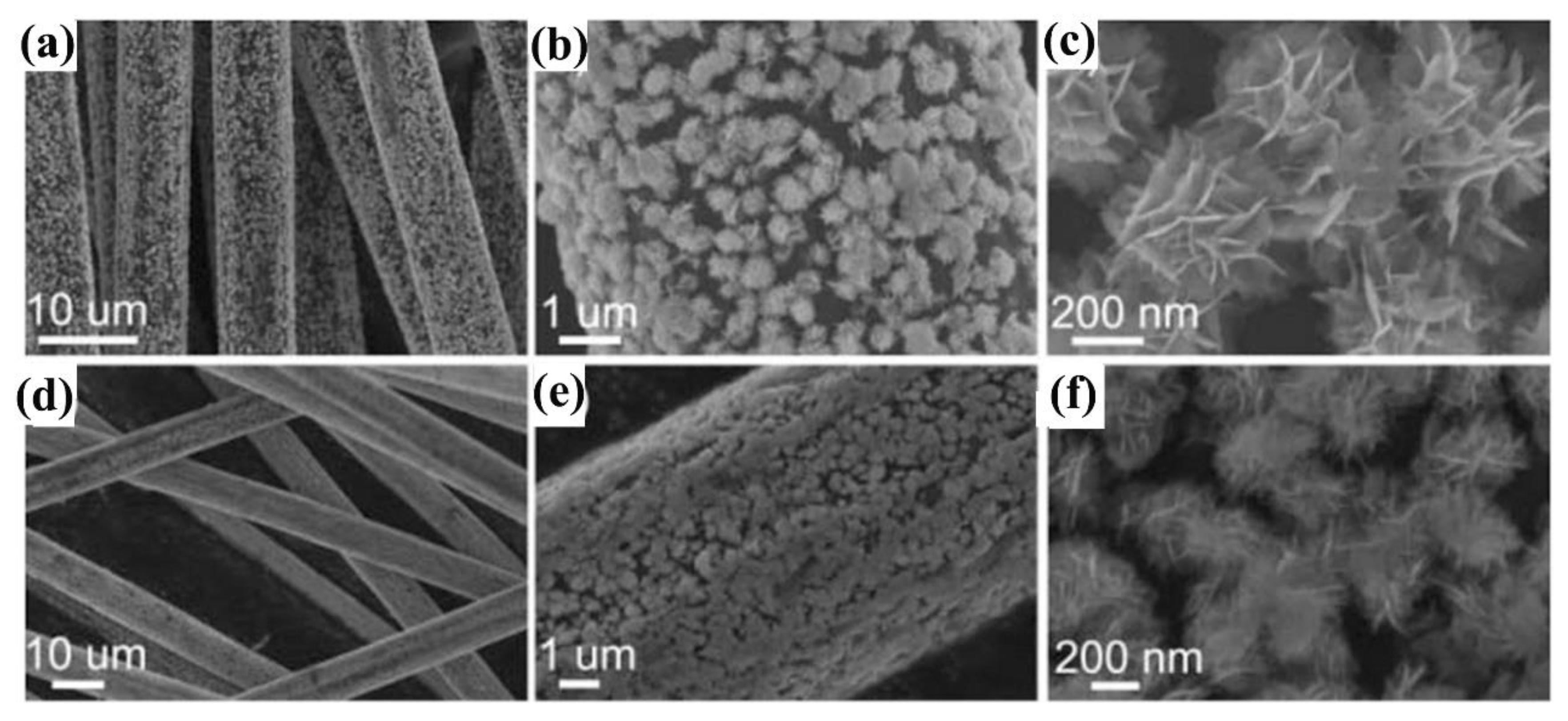 Molecules 28 04400 g003 Molecules 28 04400 g003