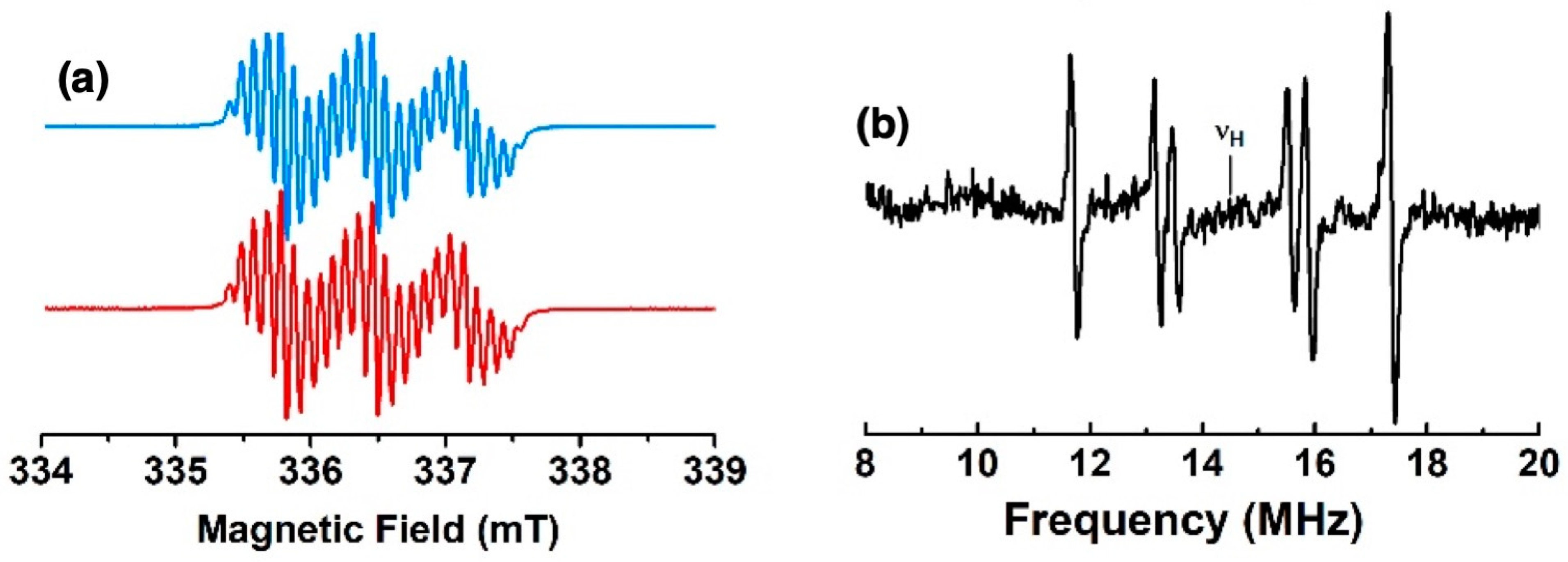 Molecules 28 04405 g009 Molecules 28 04405 g009