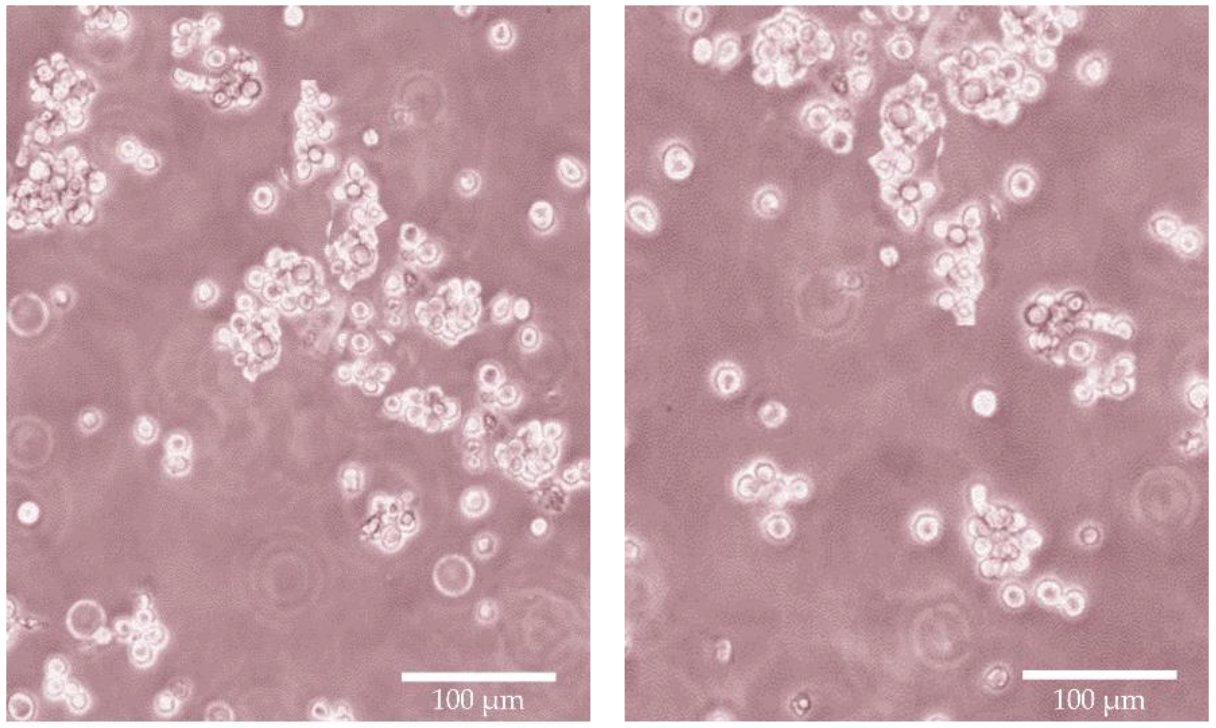 Molecules 28 04406 g006