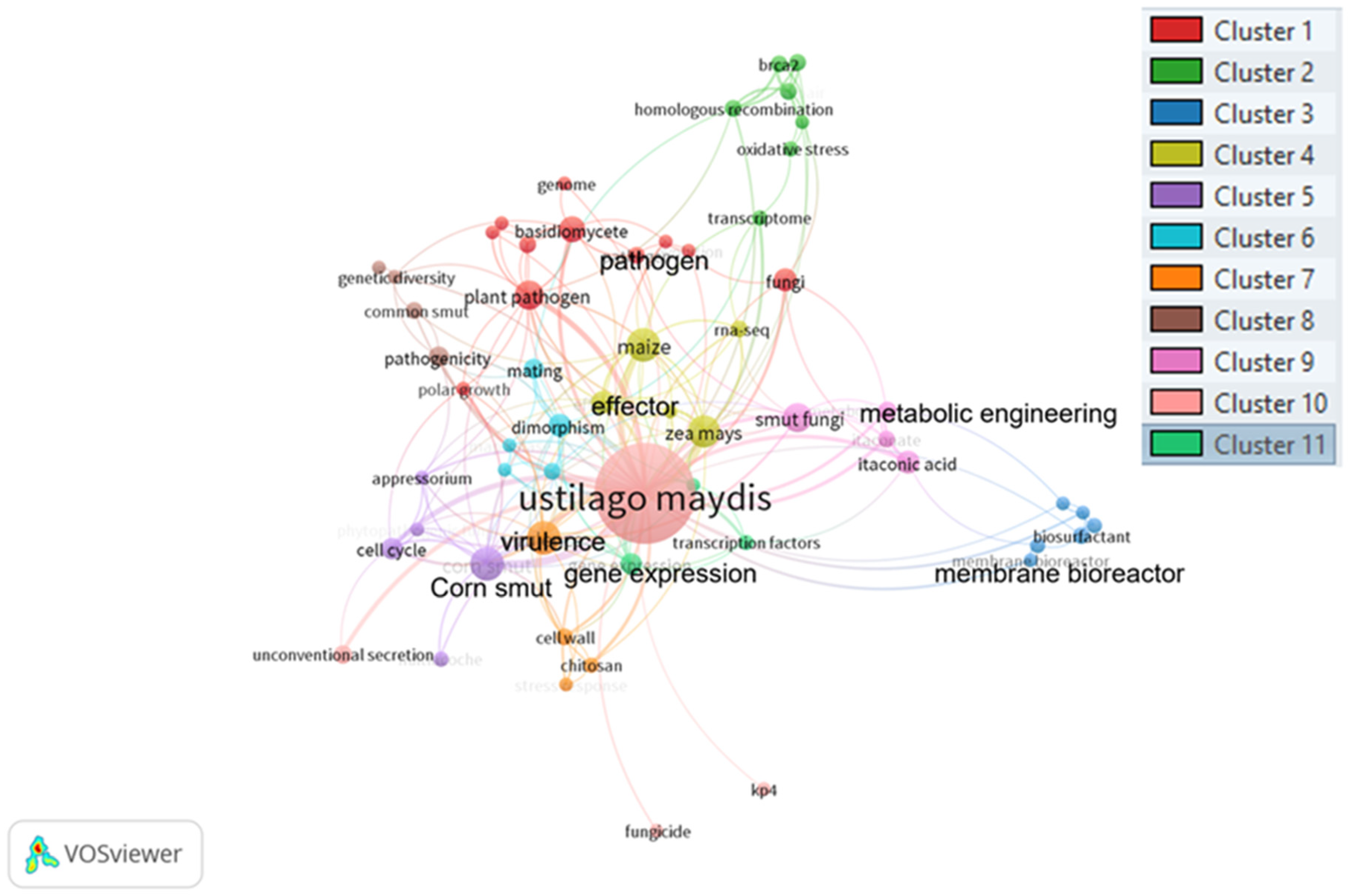 Molecules 28 04415 g004