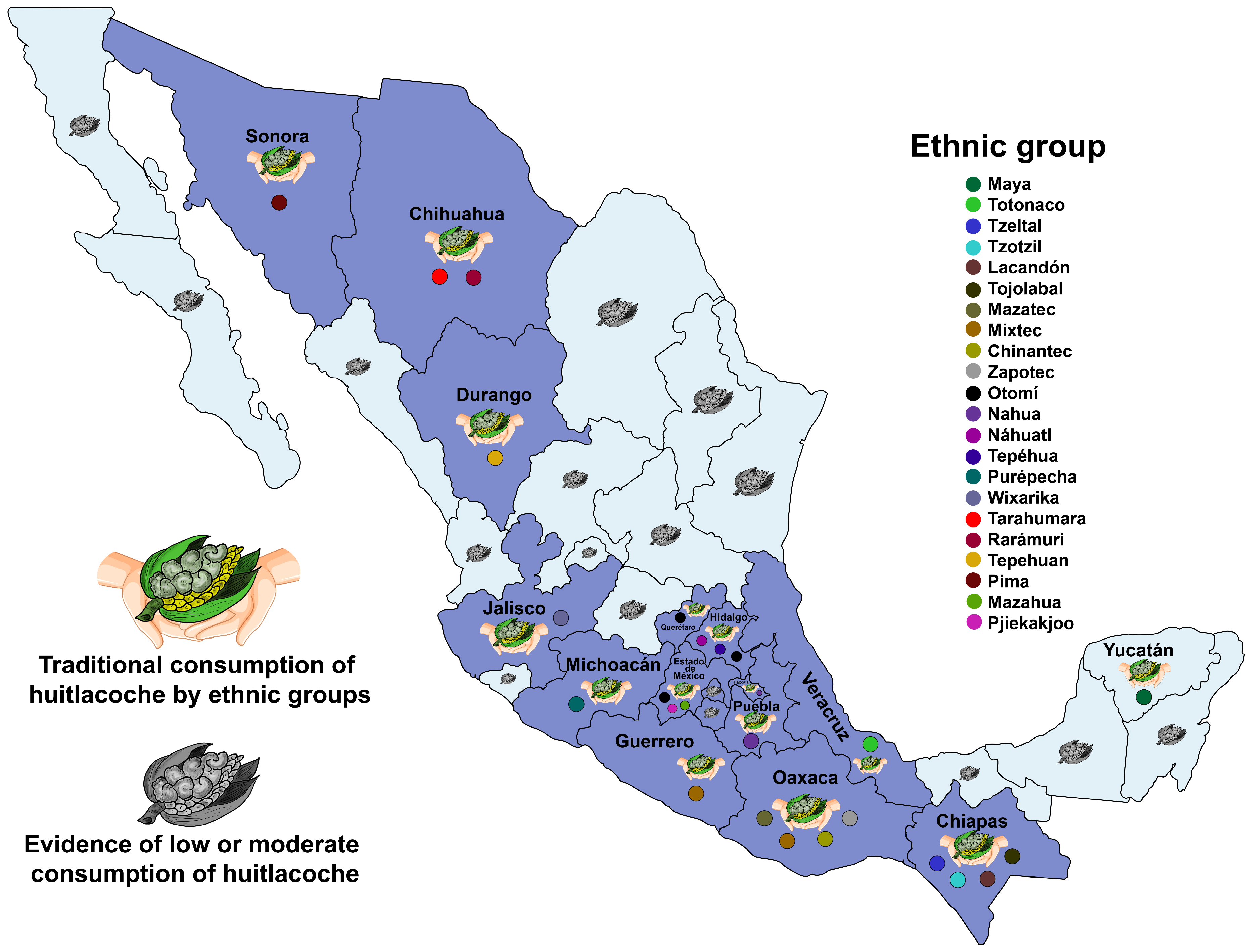 Molecules 28 04415 g005