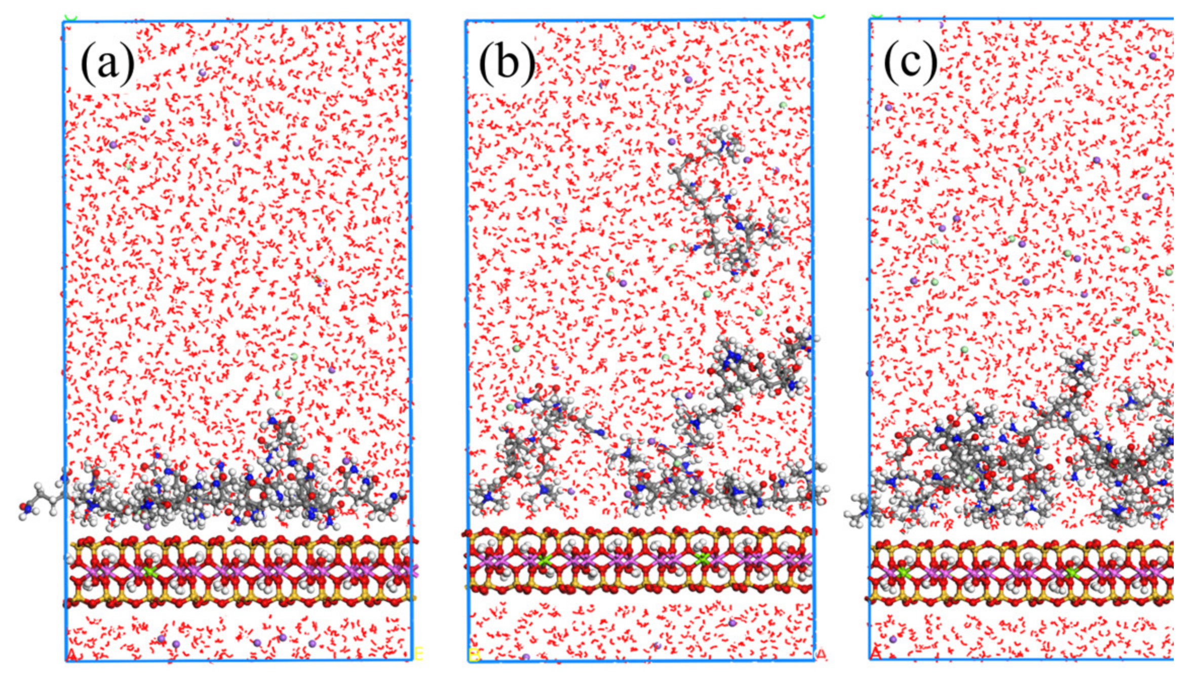 Molecules 28 04417 g013