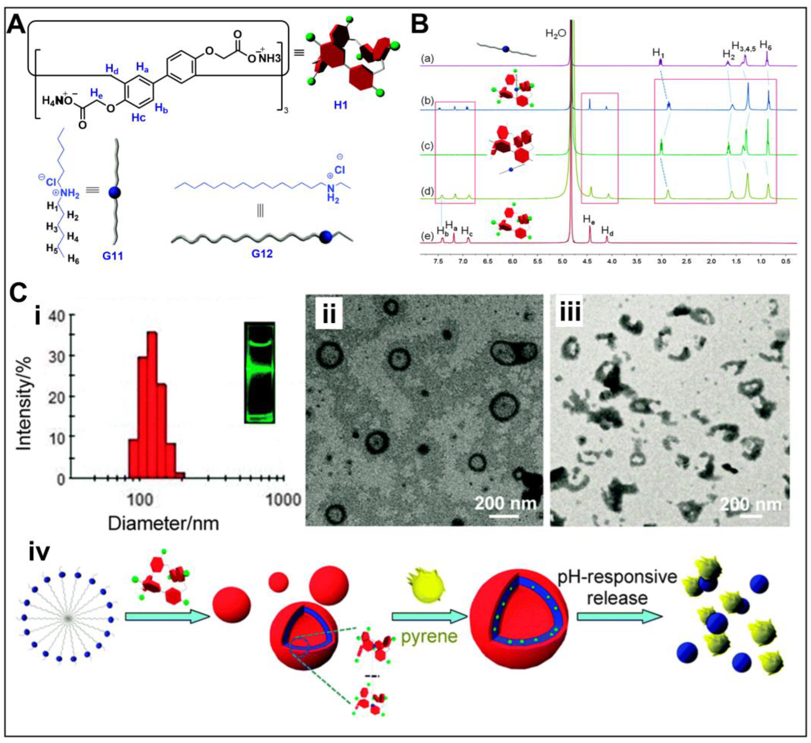Molecules 28 04422 g004
