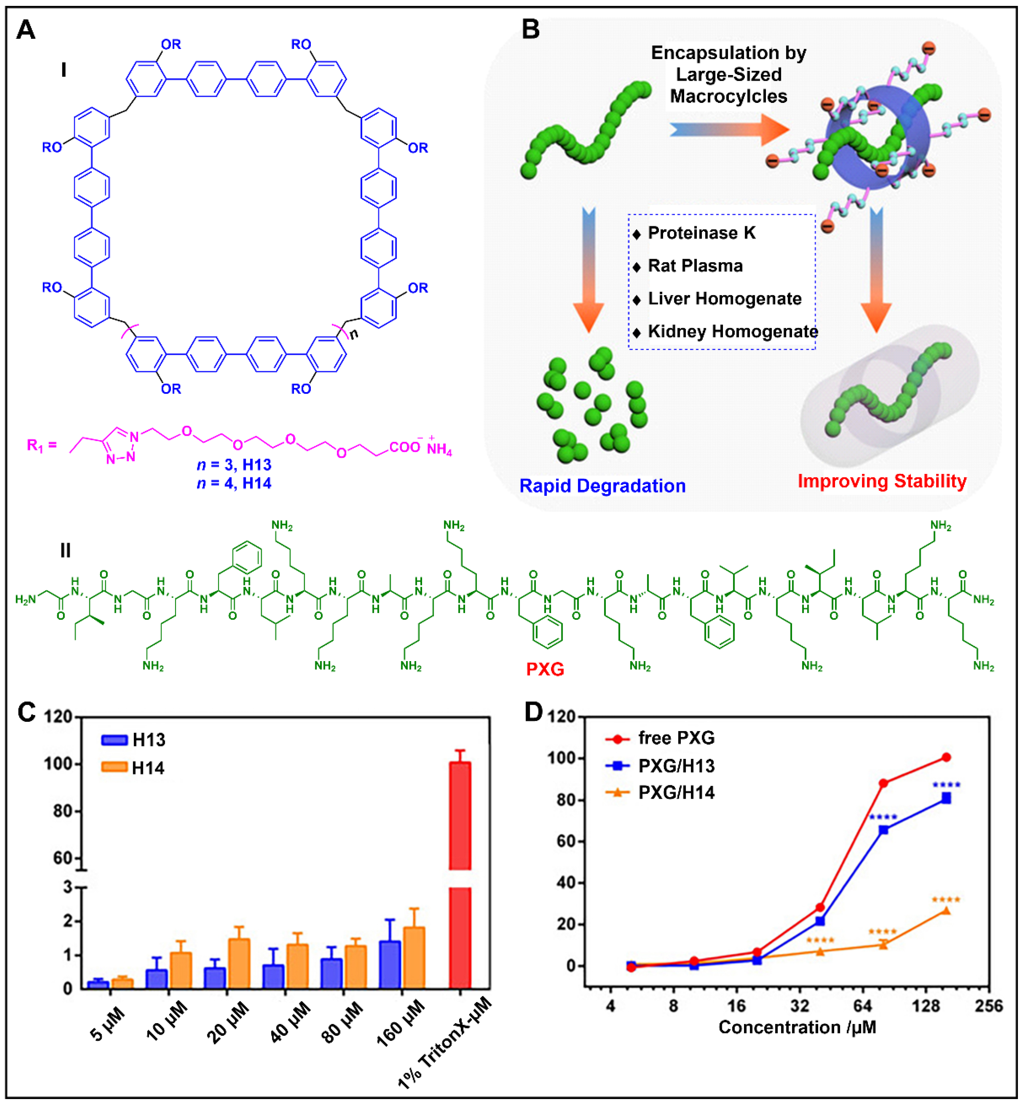Molecules 28 04422 g007