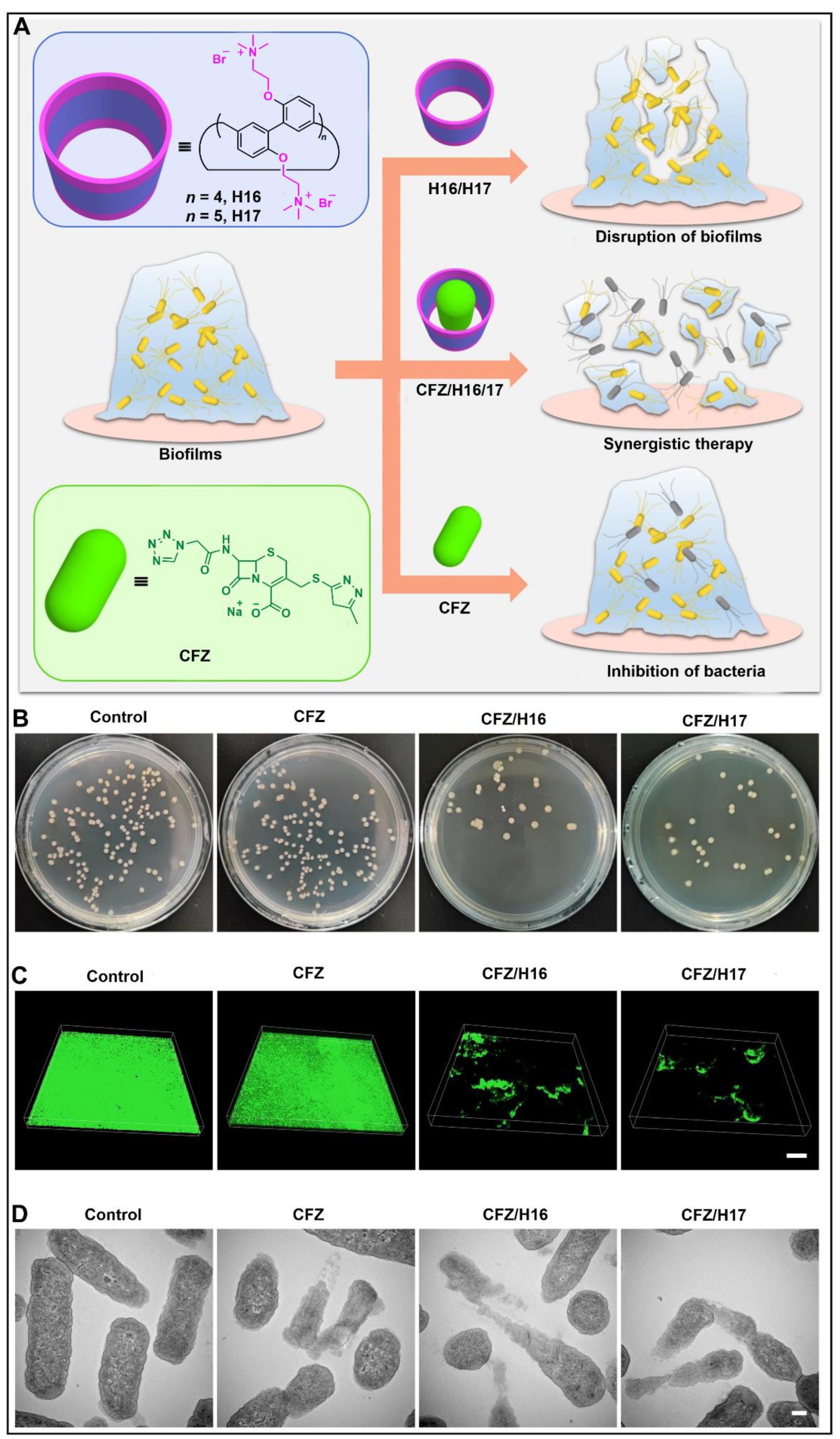 Molecules 28 04422 g009