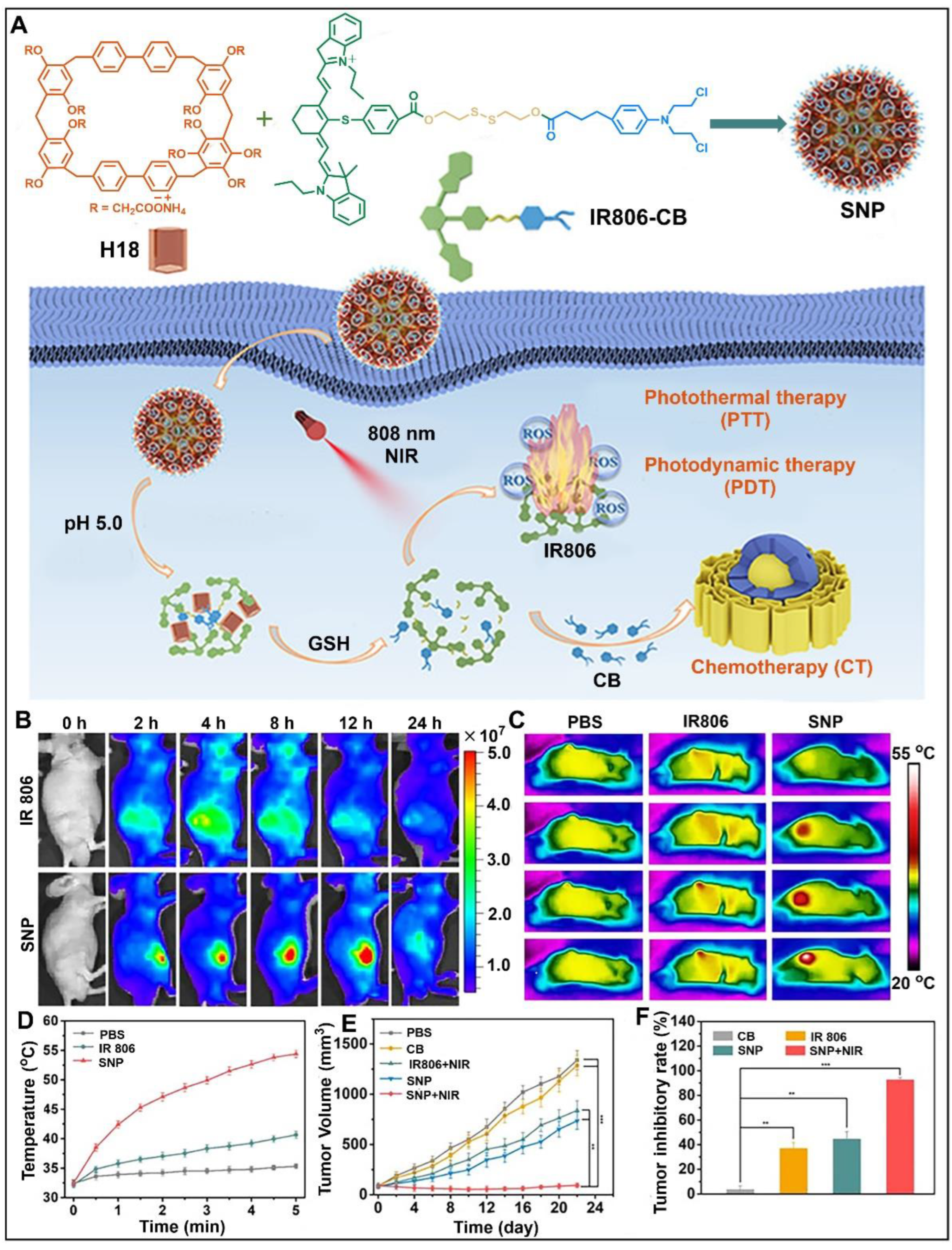 Molecules 28 04422 g010