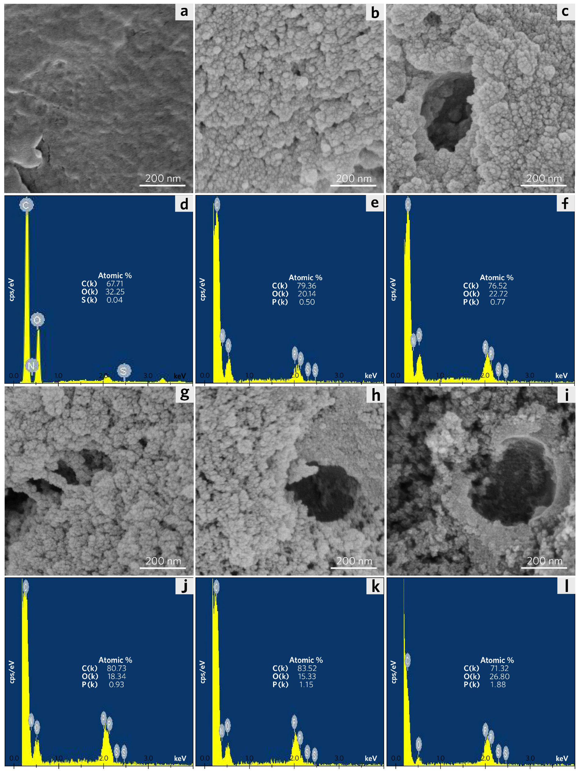 Molecules 28 04426 g001