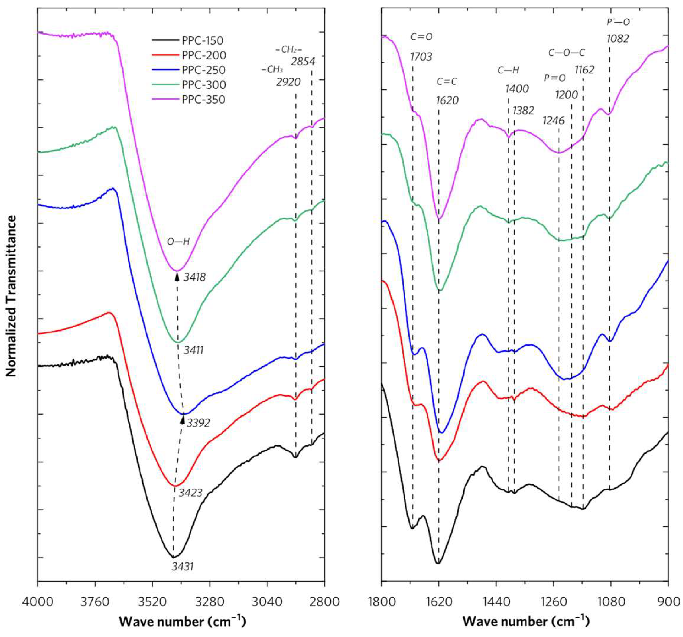 Molecules 28 04426 g004