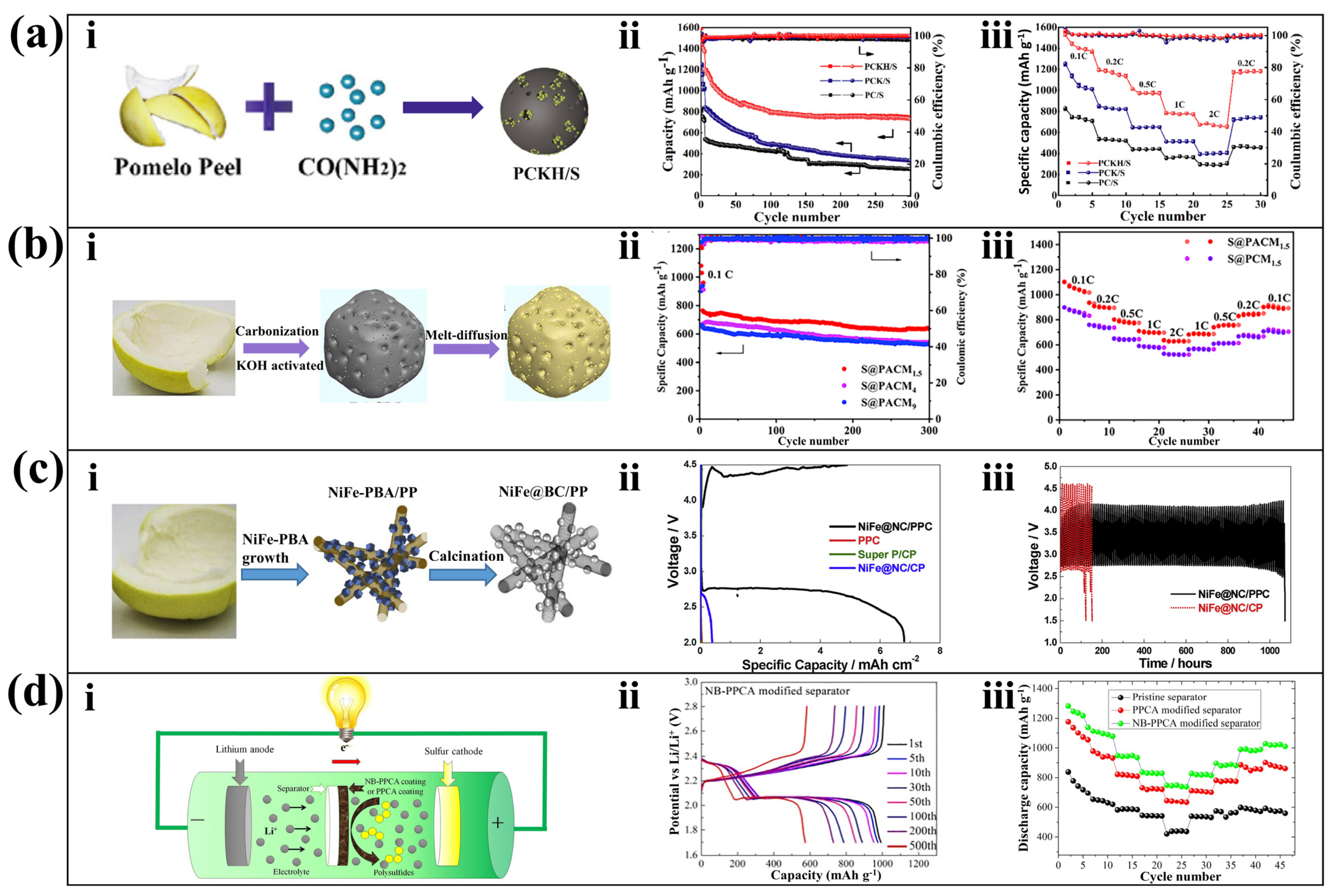 Molecules 28 04429 g005