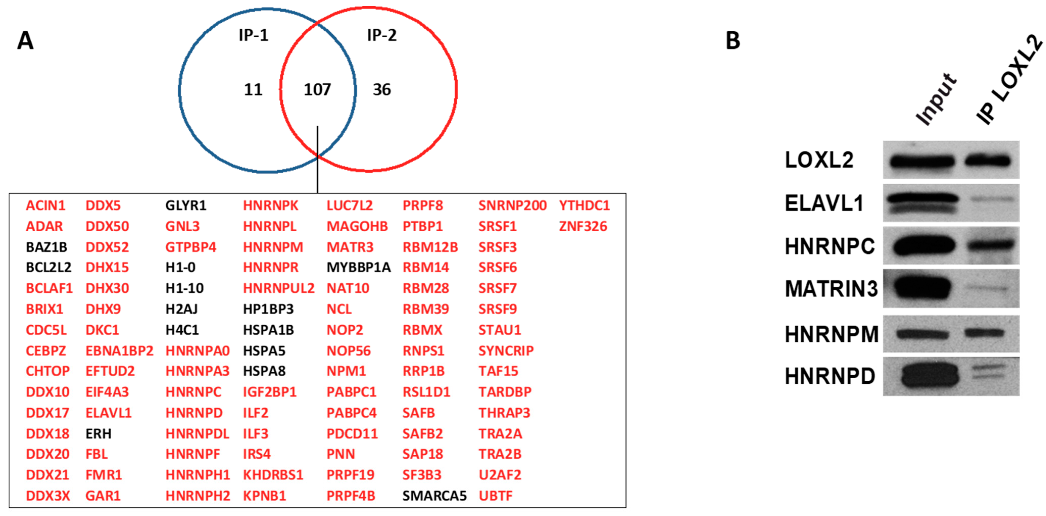 Molecules 28 04433 g001 Molecules 28 04433 g001