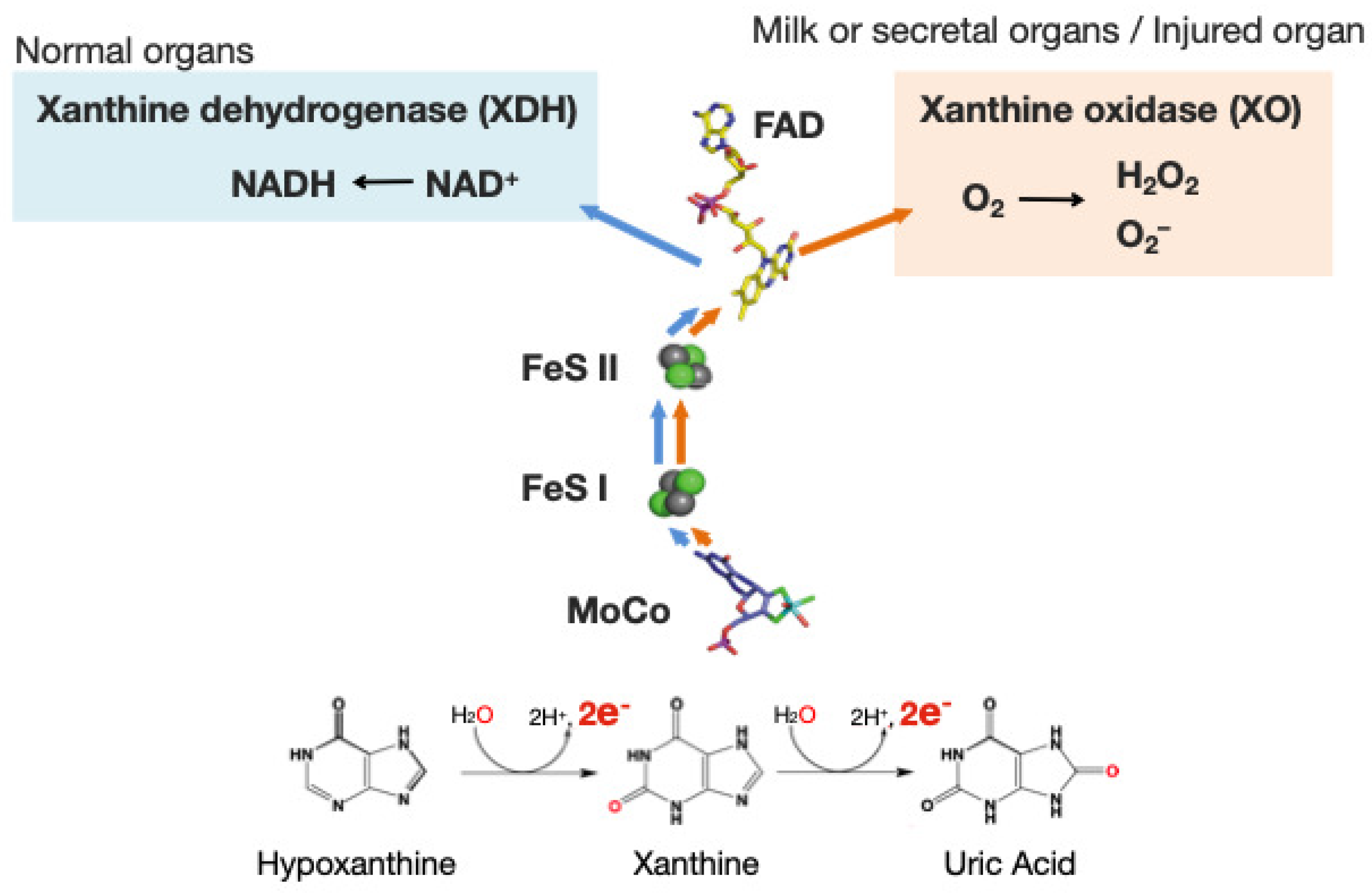 Molecules 28 04440 g001
