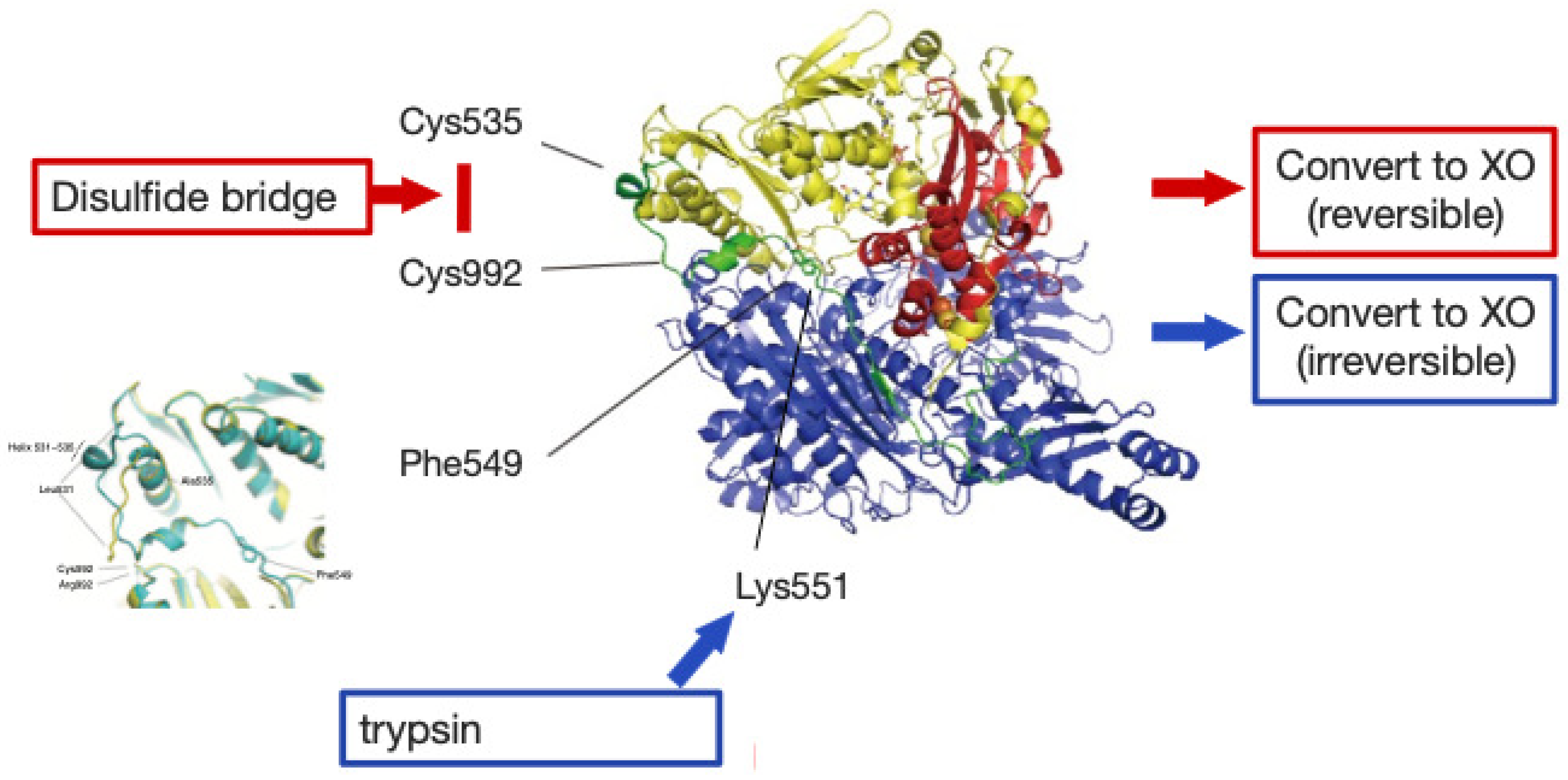 Molecules 28 04440 g006