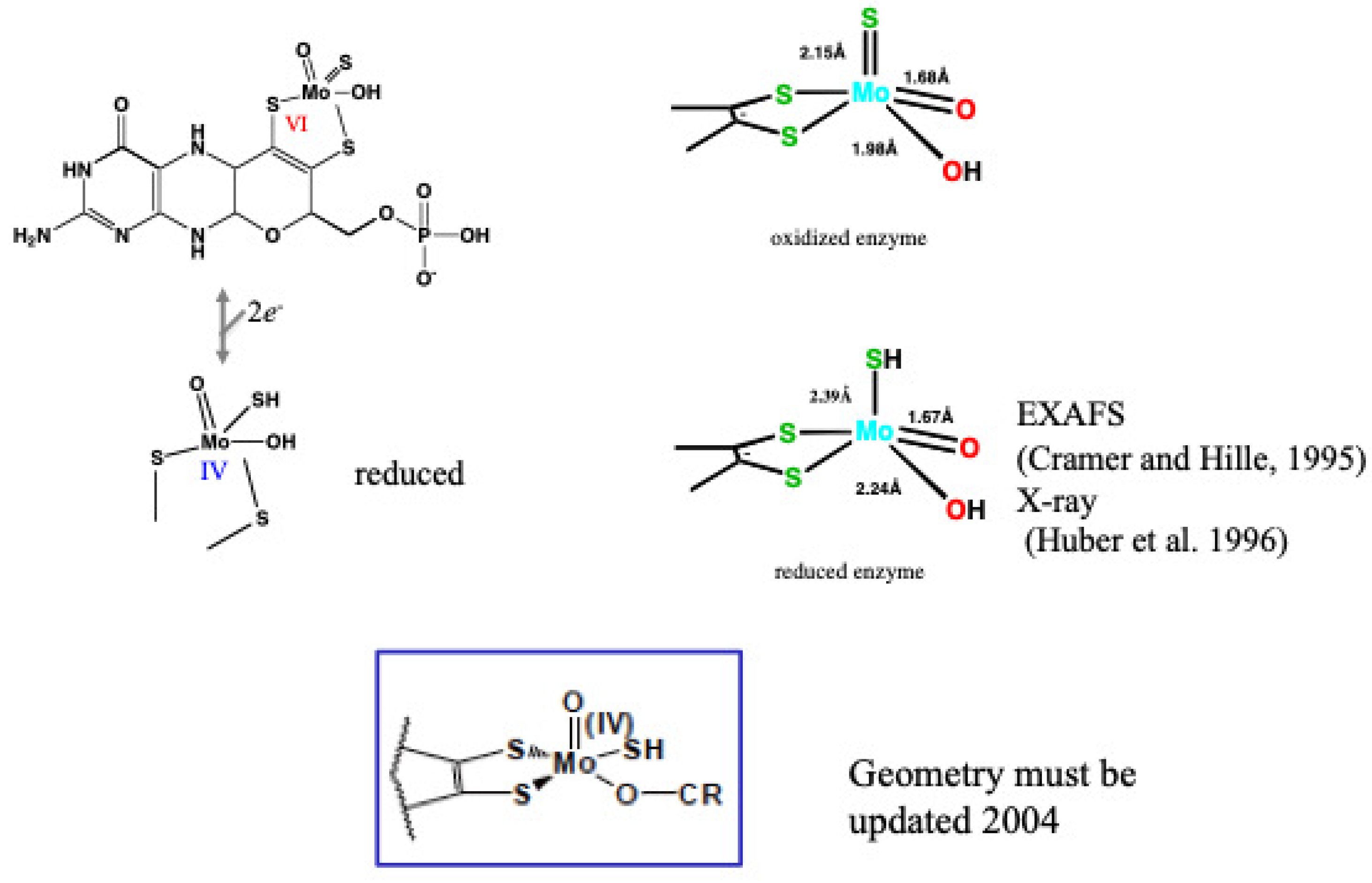 Molecules 28 04440 g007