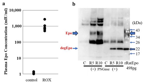 Molecules 28 04446 g006