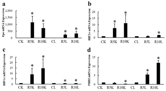 Molecules 28 04446 g008