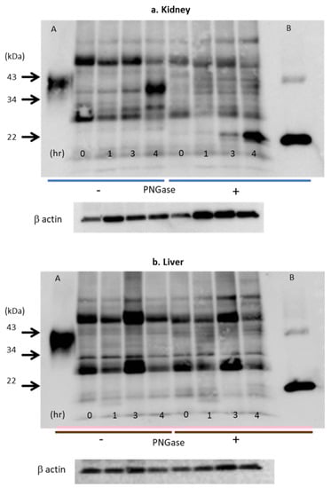 Molecules 28 04446 g009