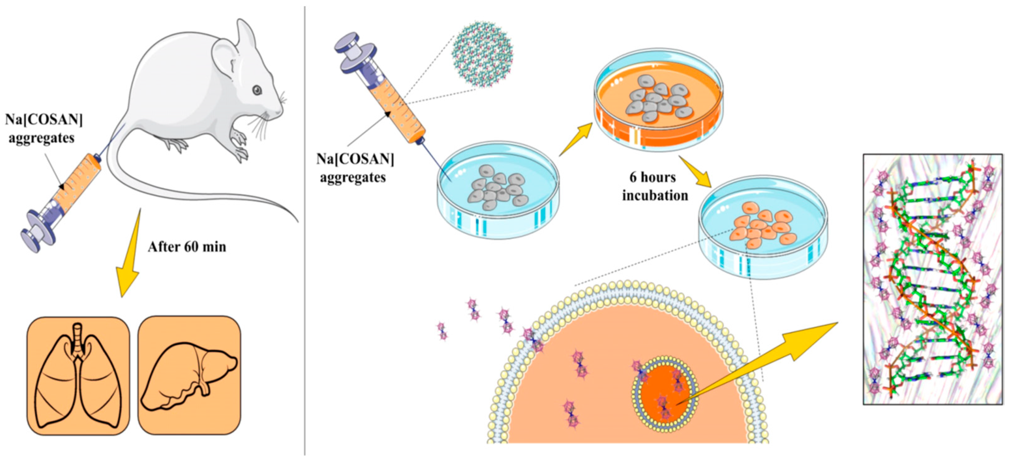 Molecules 28 04449 g009 Molecules 28 04449 g009